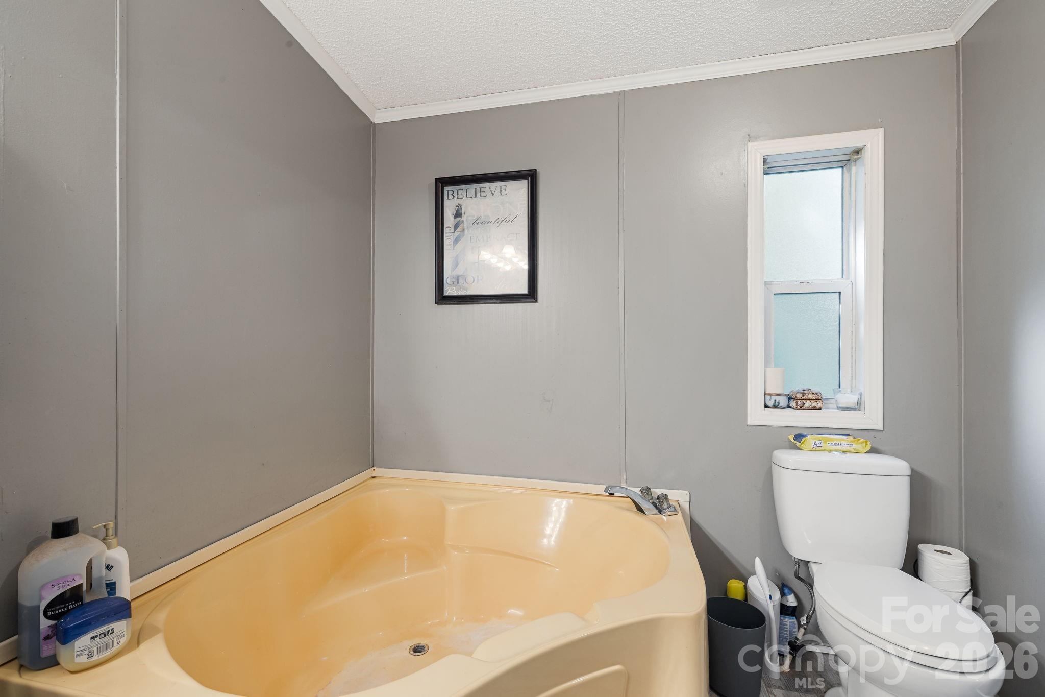 Primary Bathroom - 96 Fallswood Court, Hendersonville