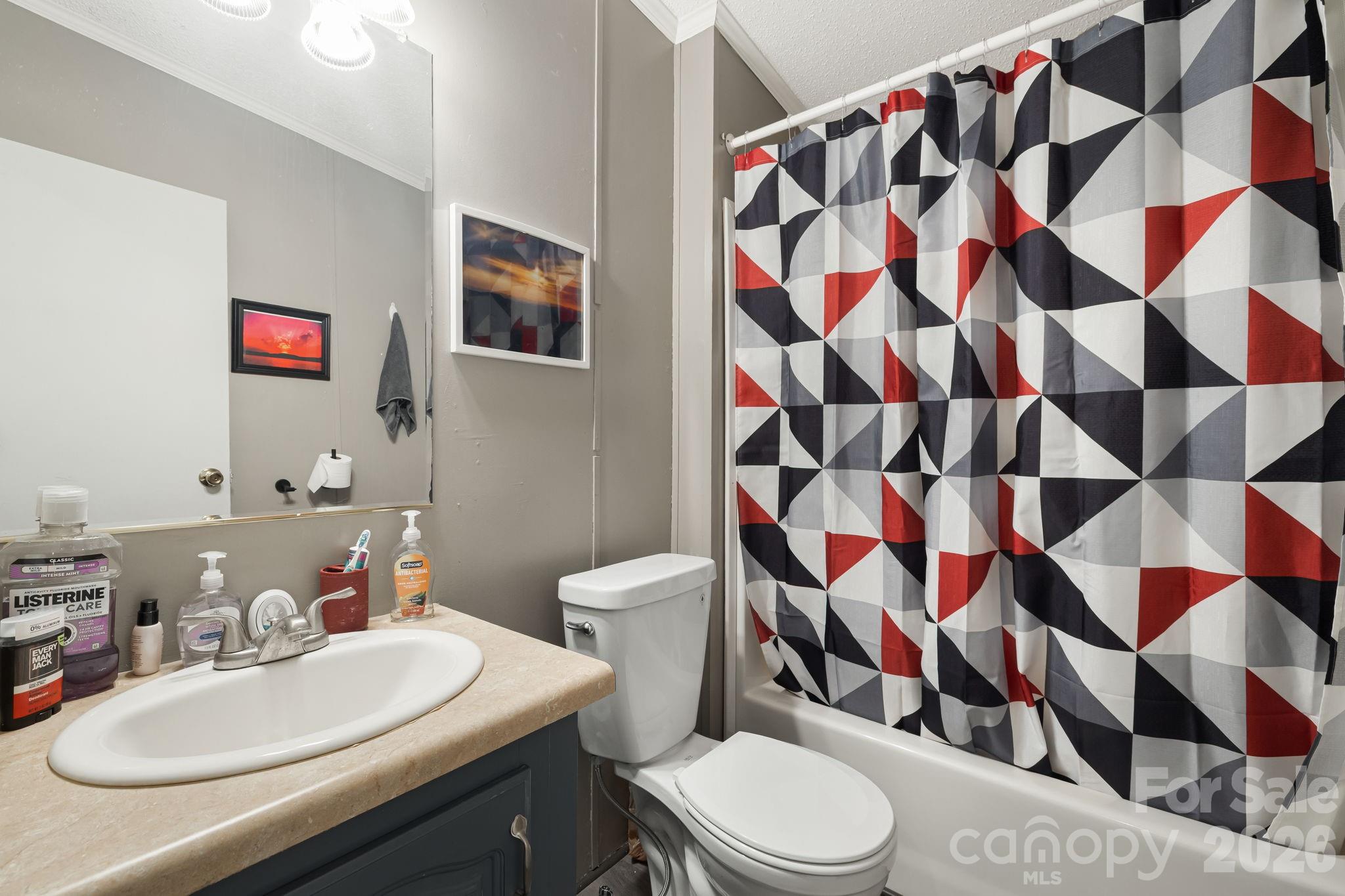 Hallway bathroom - 96 Fallswood Court, Hendersonville