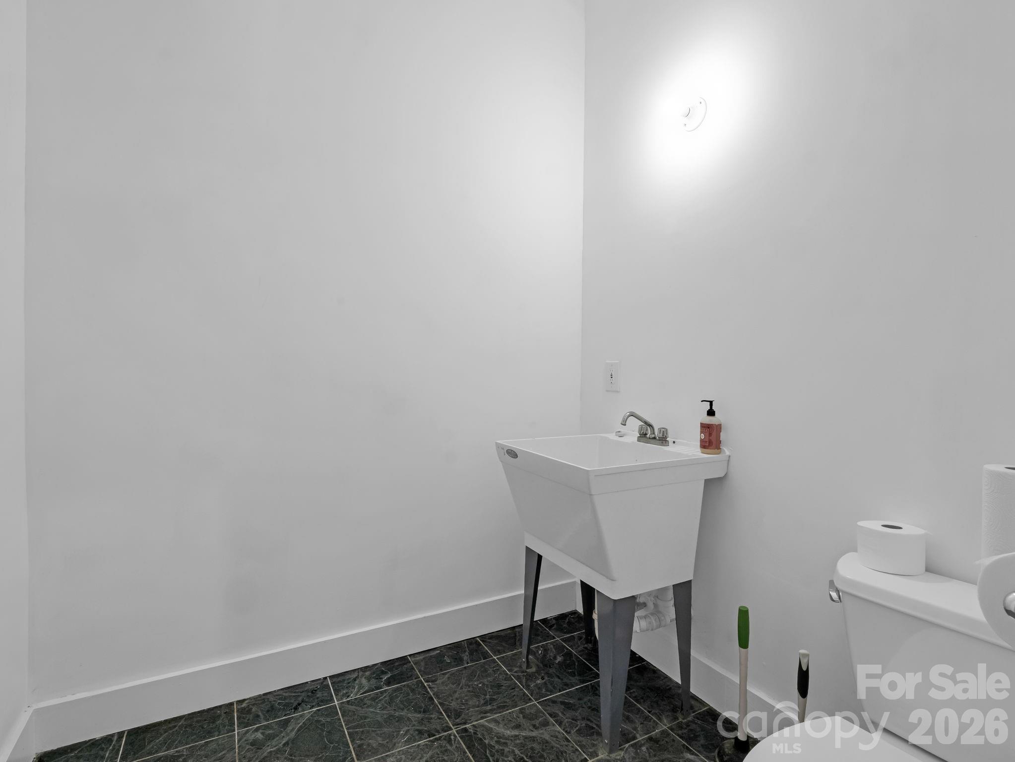Lower Level half bath - 119 Mountain Bluff Trail, Hendersonville