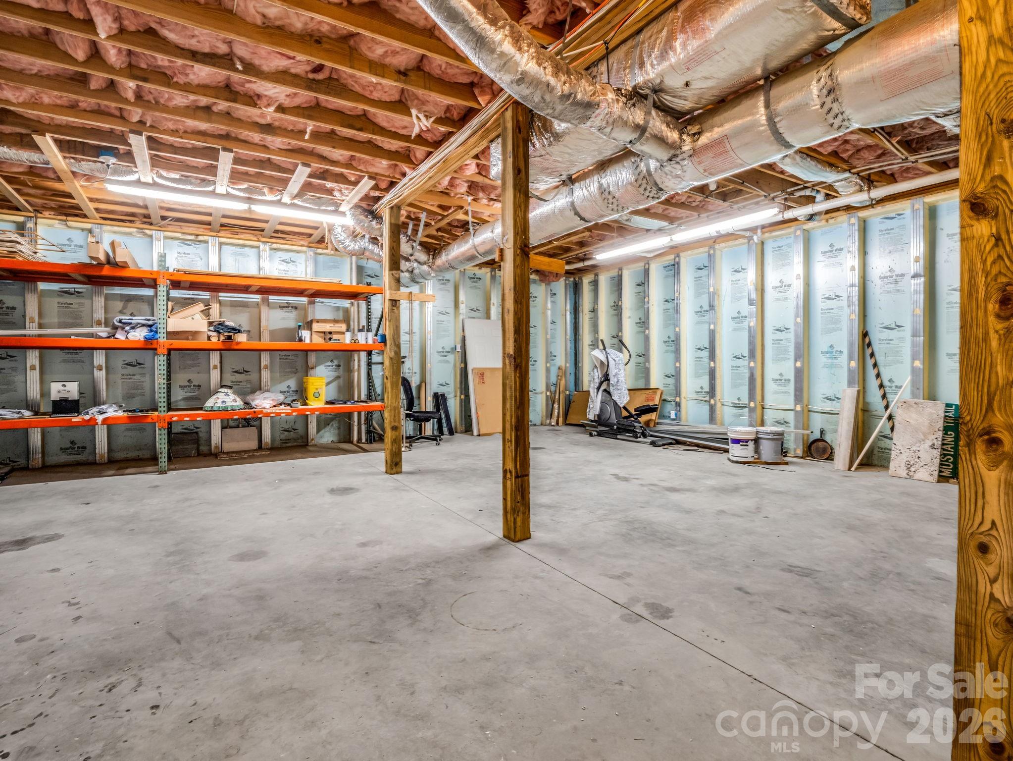 Tons of unfinished basement storage - 119 Mountain Bluff Trail, Hendersonville