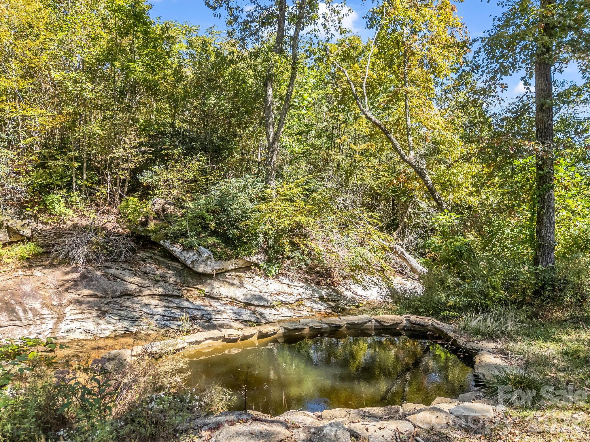 Natural soaking pool, fed from stream - 119 Mountain Bluff Trail, Hendersonville