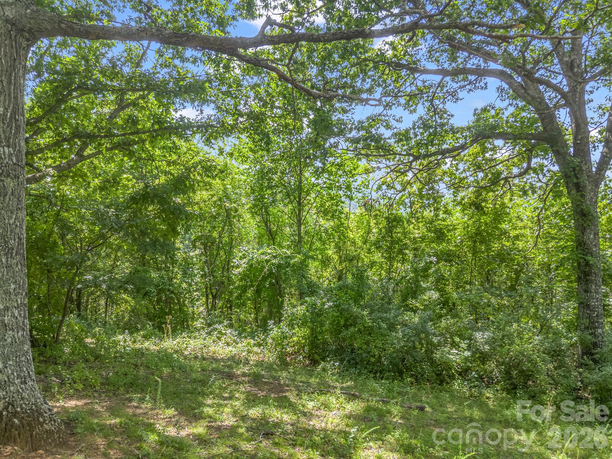 61 Sugar Maple Drive