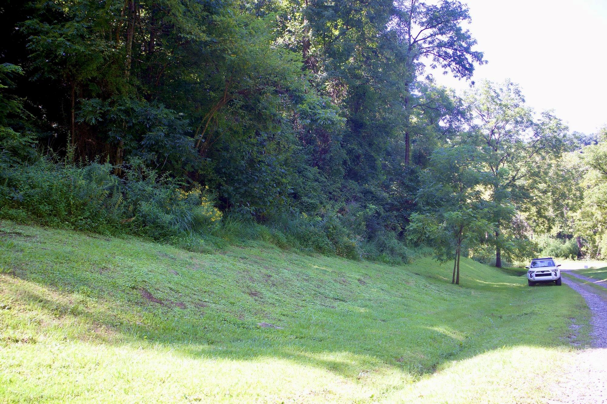 Possible Expansion Area #1 - 11 Jody Lane, Weaverville