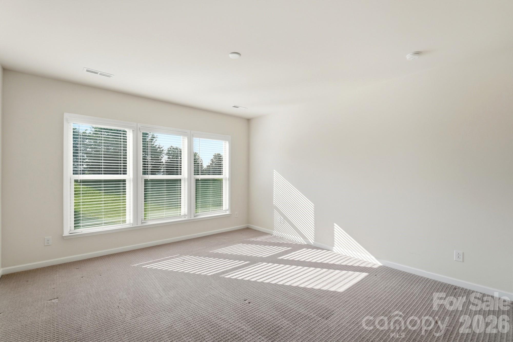 Primary bedroom - 1620 Red Leaf Drive, Fort Mill
