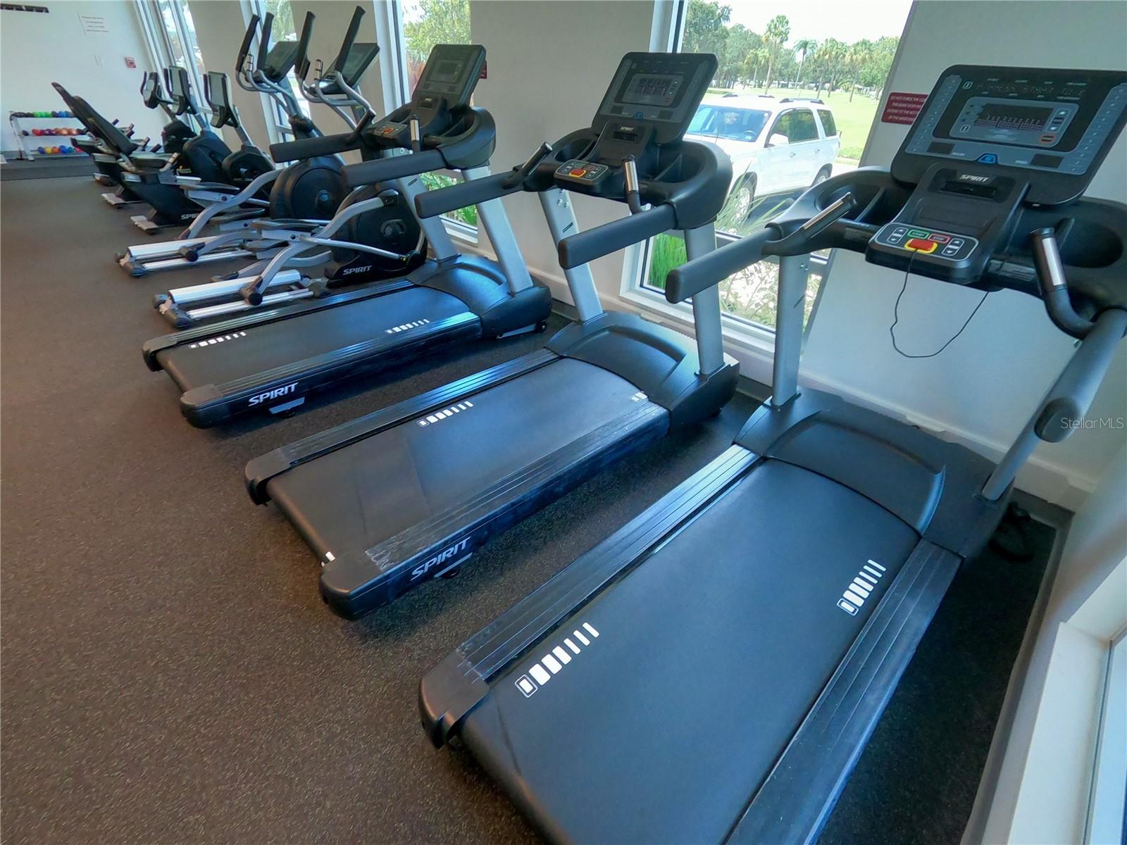 Fitness center - 1100 BELCHER RD S #535, LARGO