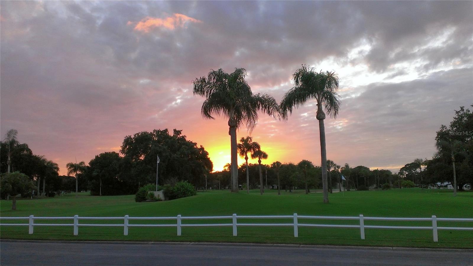 Sunset over the golf course - 1100 BELCHER RD S #535, LARGO