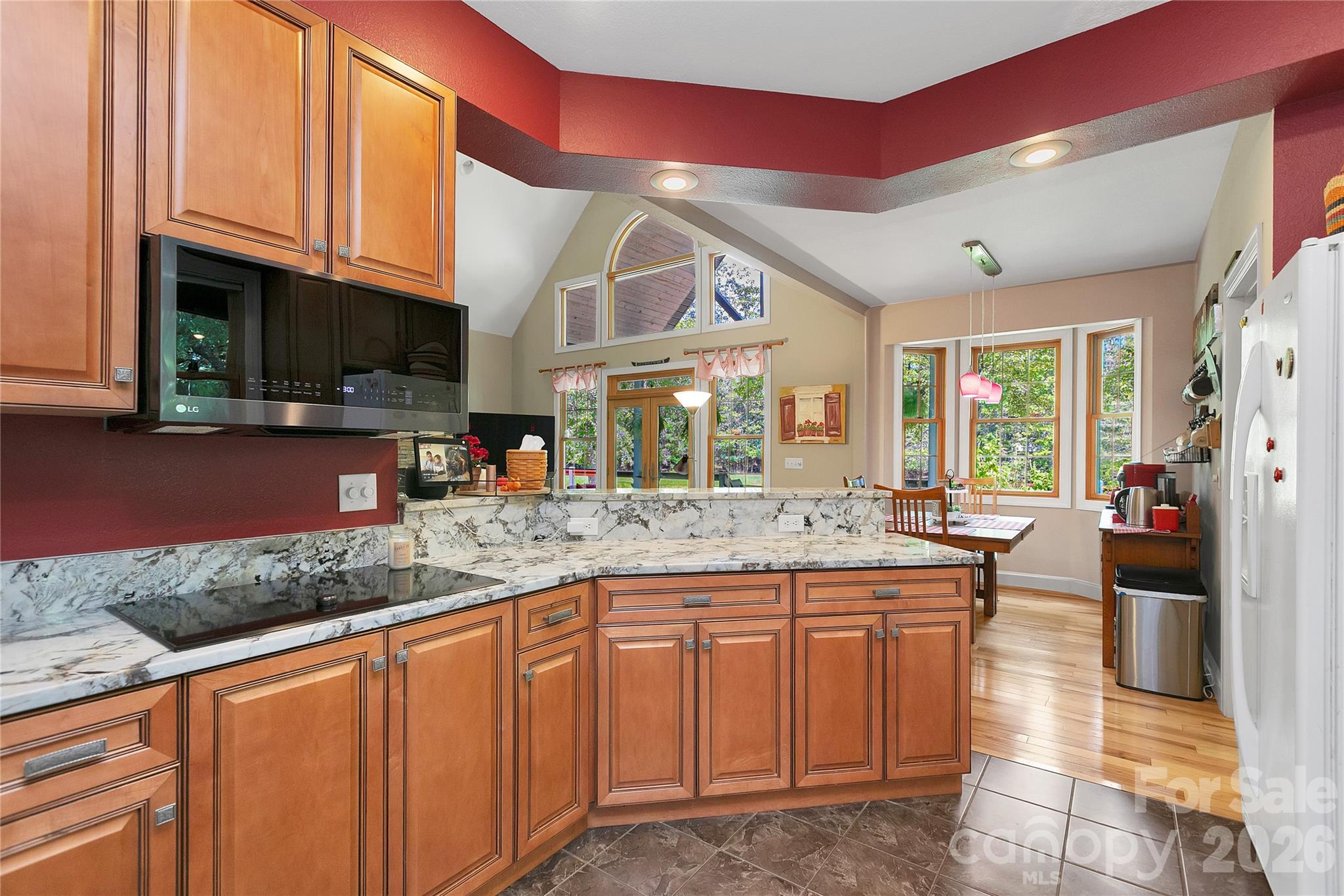 Induction Cooktop - 111 Kanunu Court, Brevard