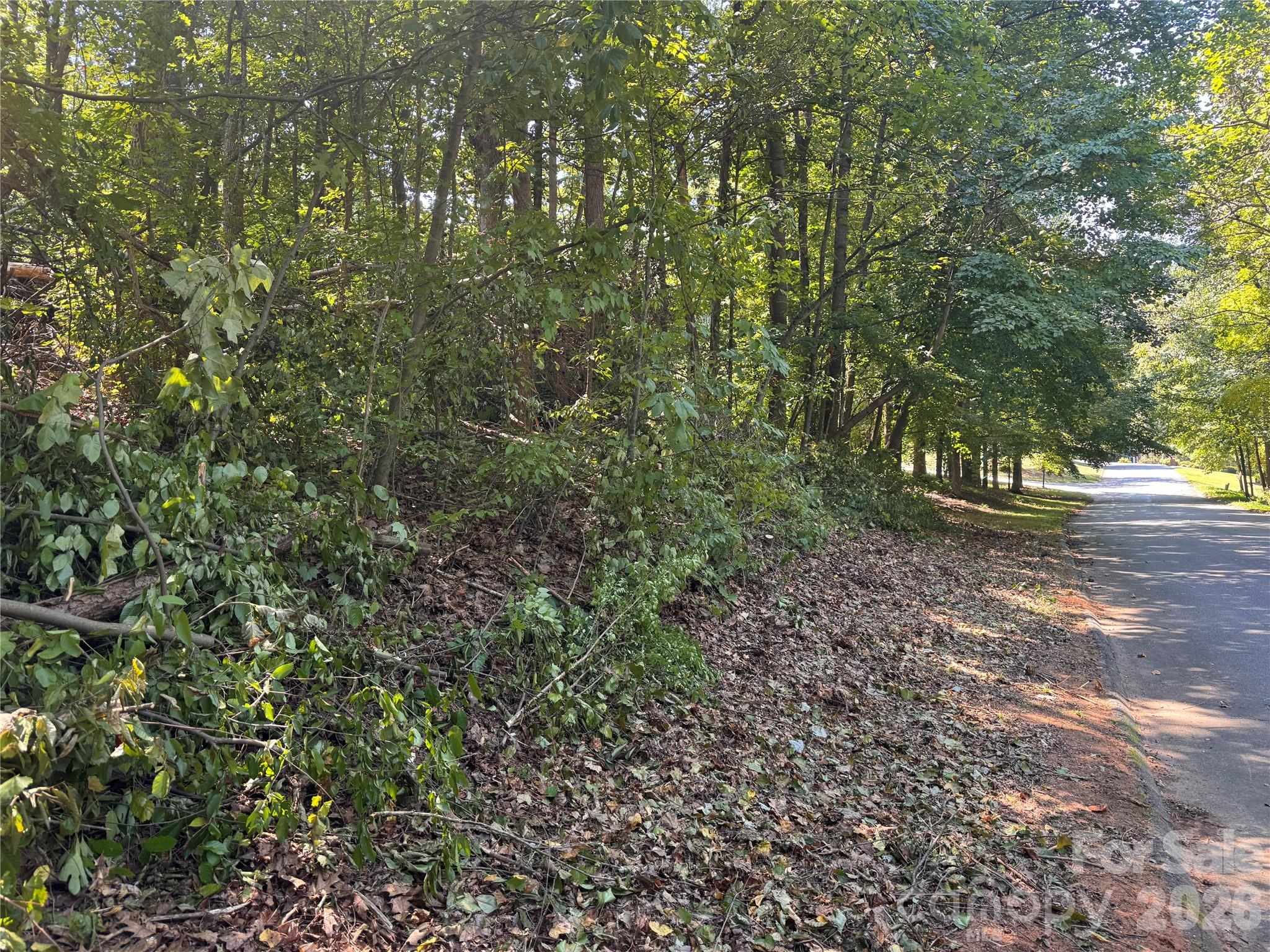 Lot at 3924 Deer Run Drive NE, Conover, photo 11 of 21