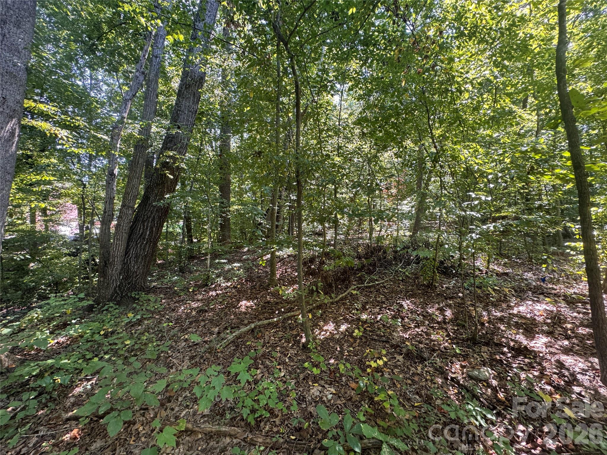 Lot at 3924 Deer Run Drive NE, Conover, photo 12 of 21