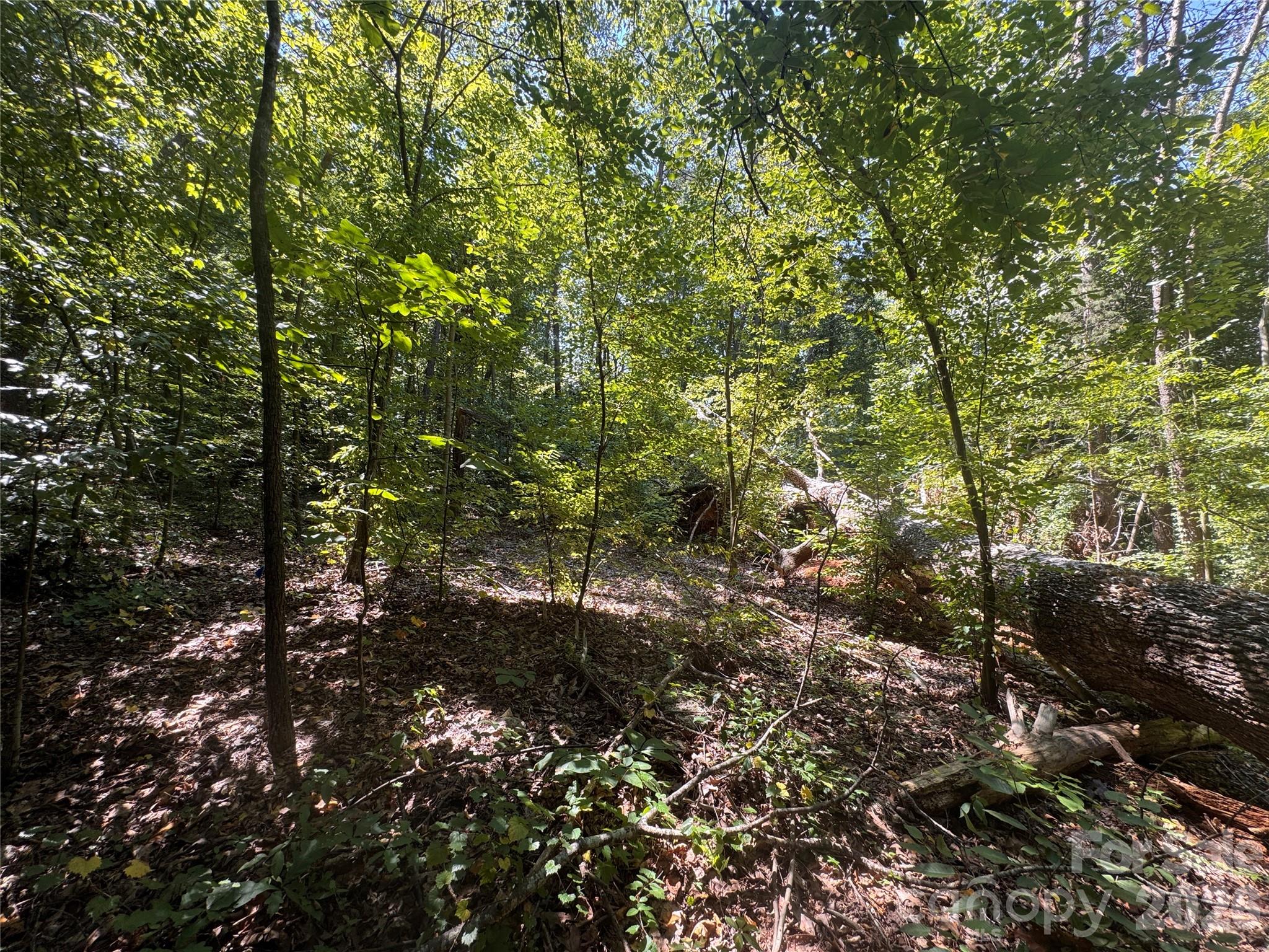 Lot at 3924 Deer Run Drive NE, Conover, photo 13 of 21