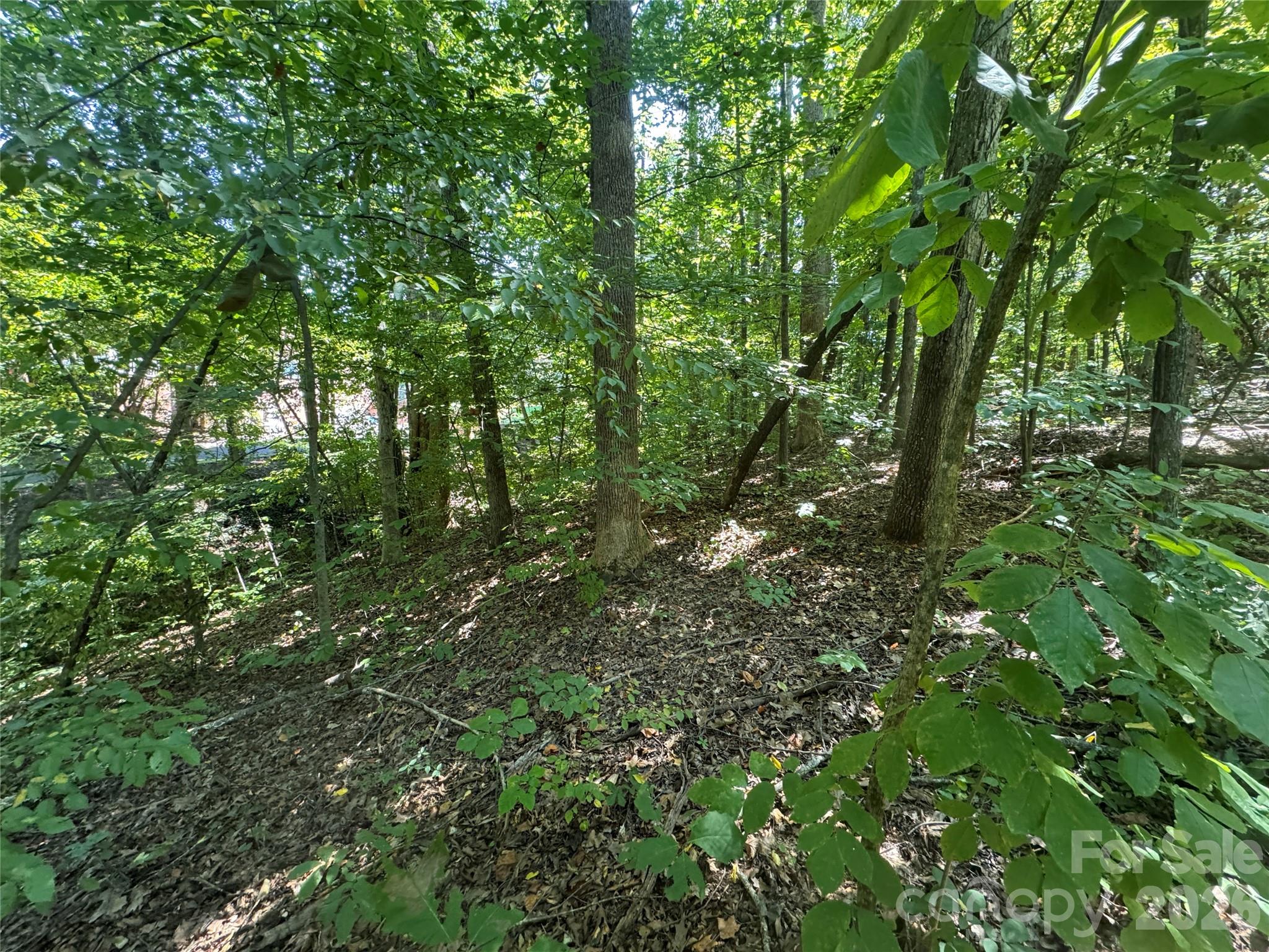 Lot at 3924 Deer Run Drive NE, Conover, photo 14 of 21