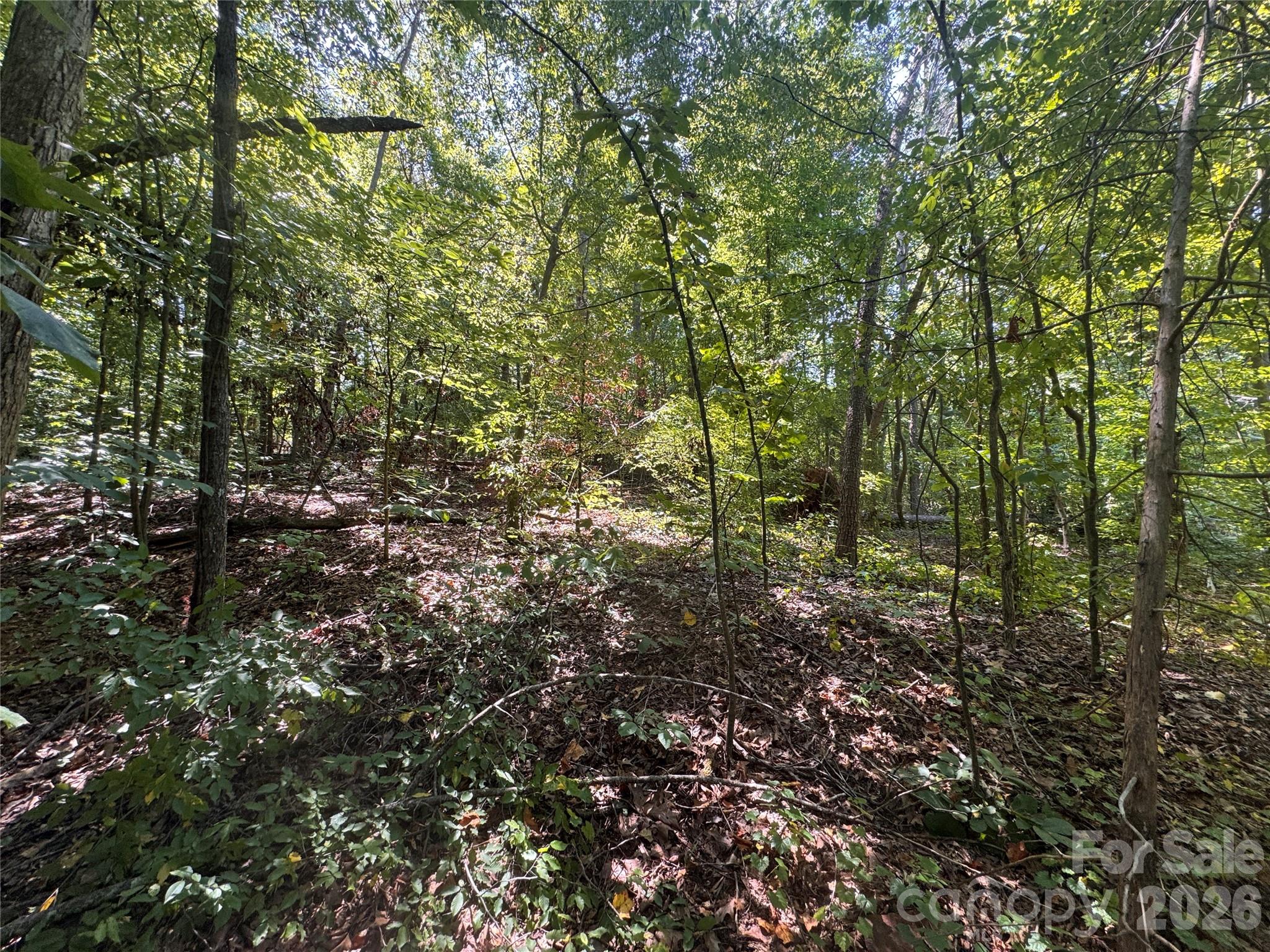 Lot at 3924 Deer Run Drive NE, Conover, photo 15 of 21
