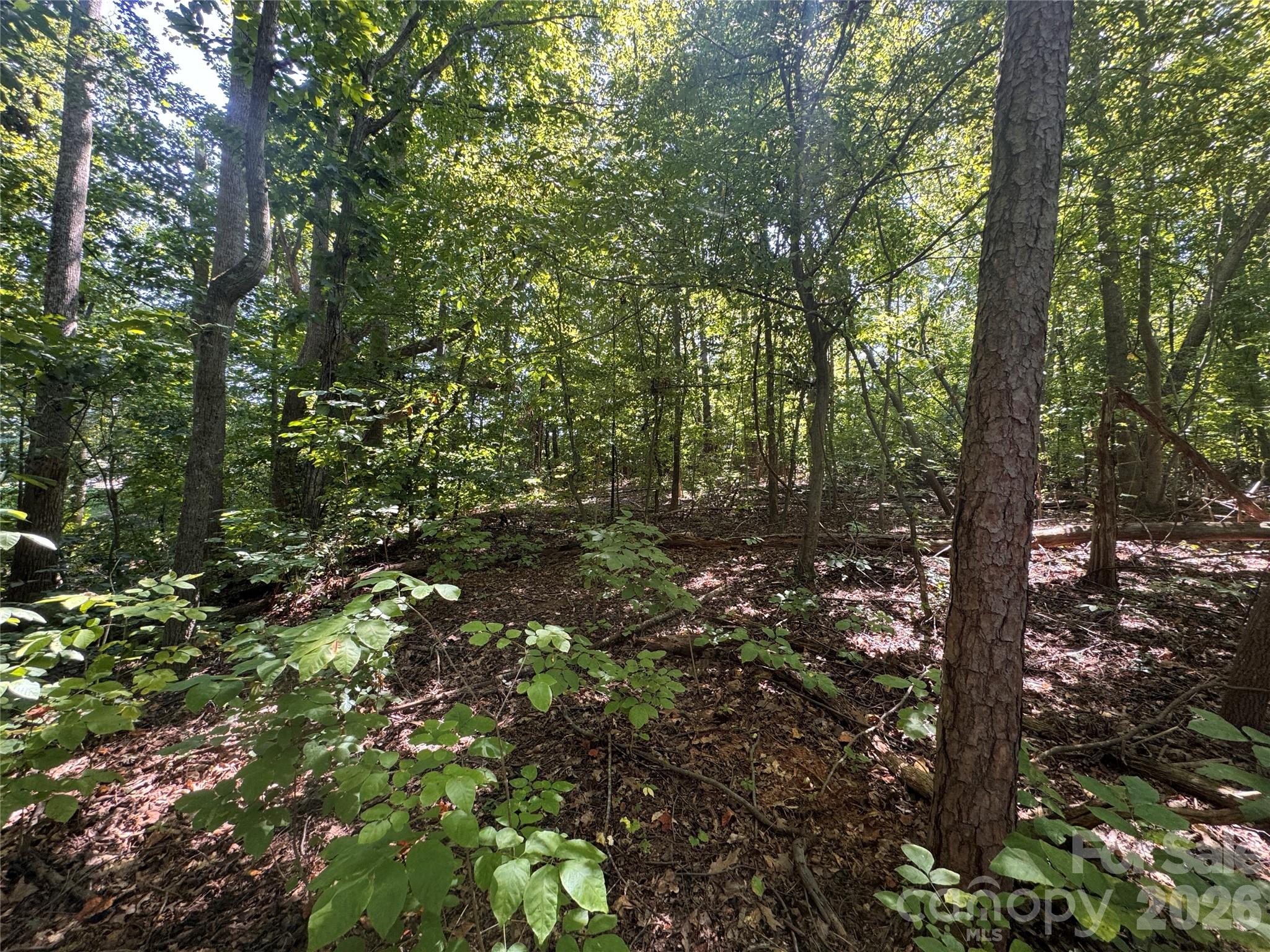 Lot at 3924 Deer Run Drive NE, Conover, photo 16 of 21