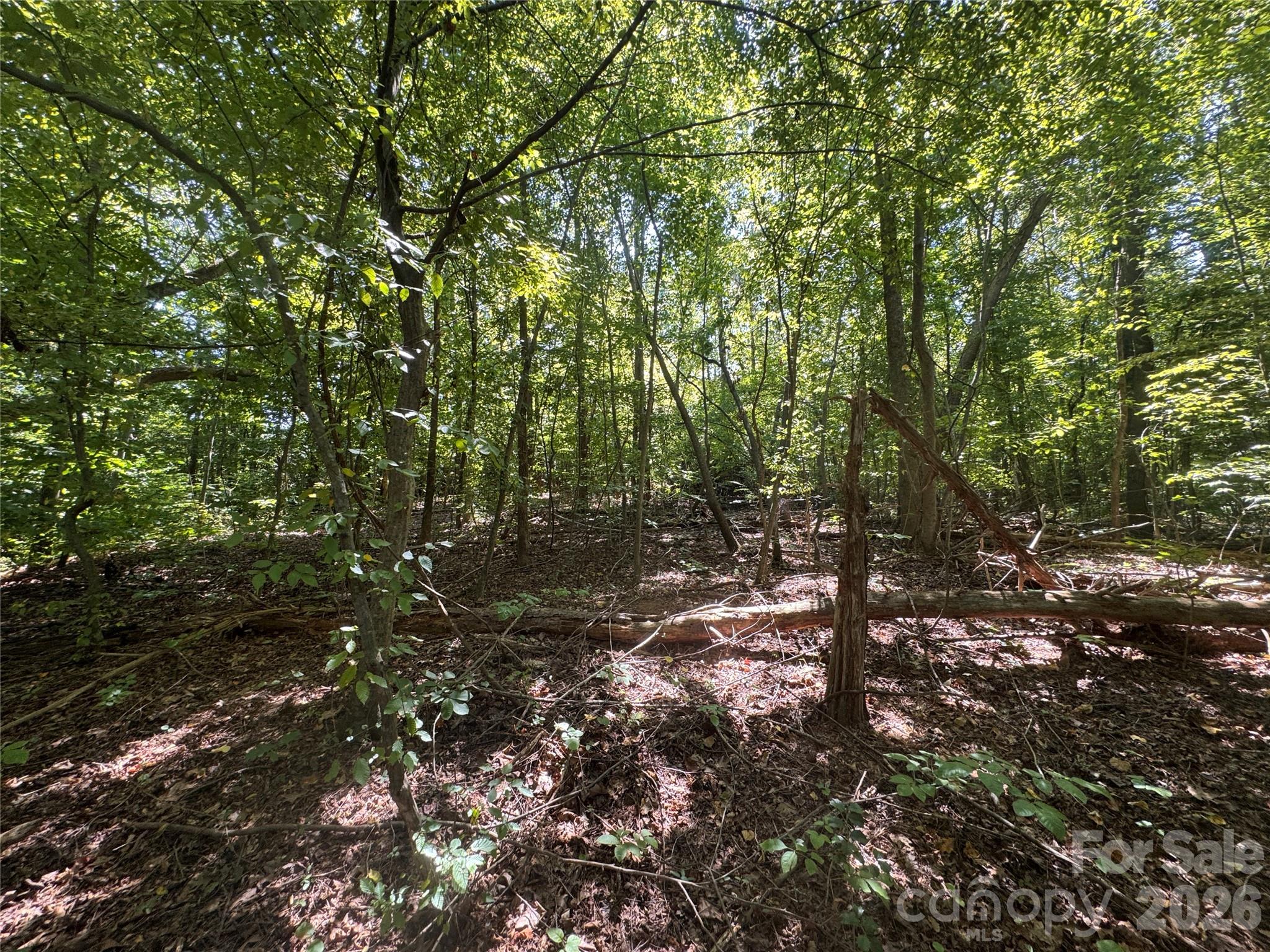 Lot at 3924 Deer Run Drive NE, Conover, photo 17 of 21