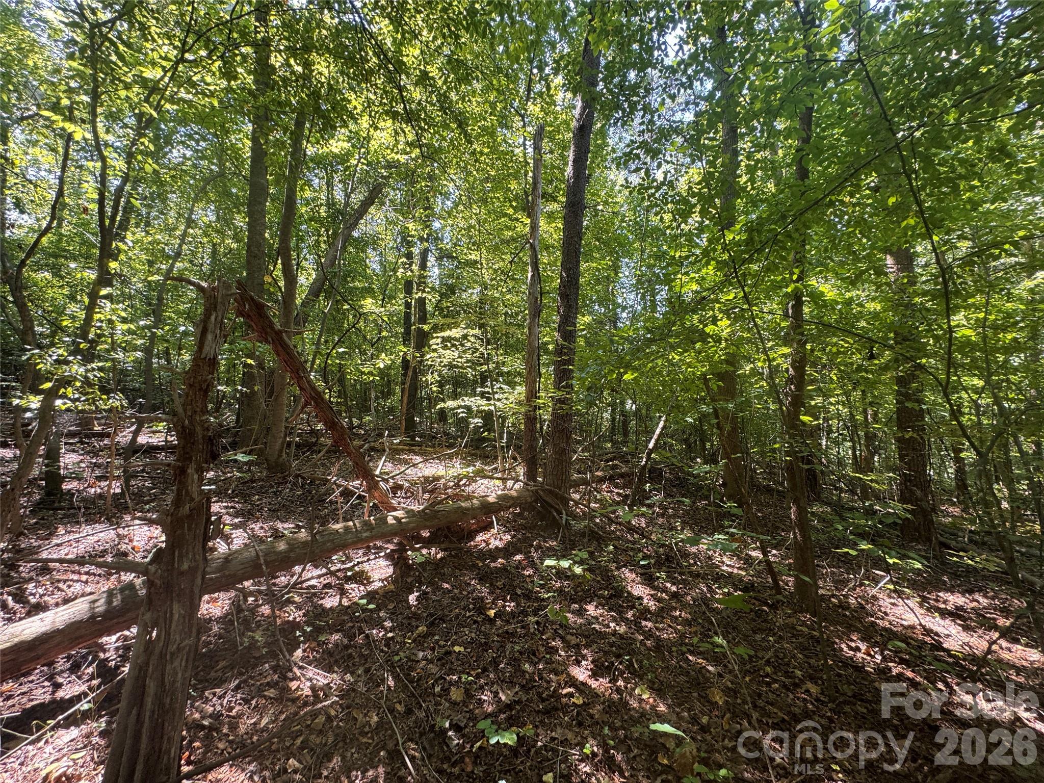 Lot at 3924 Deer Run Drive NE, Conover, photo 18 of 21