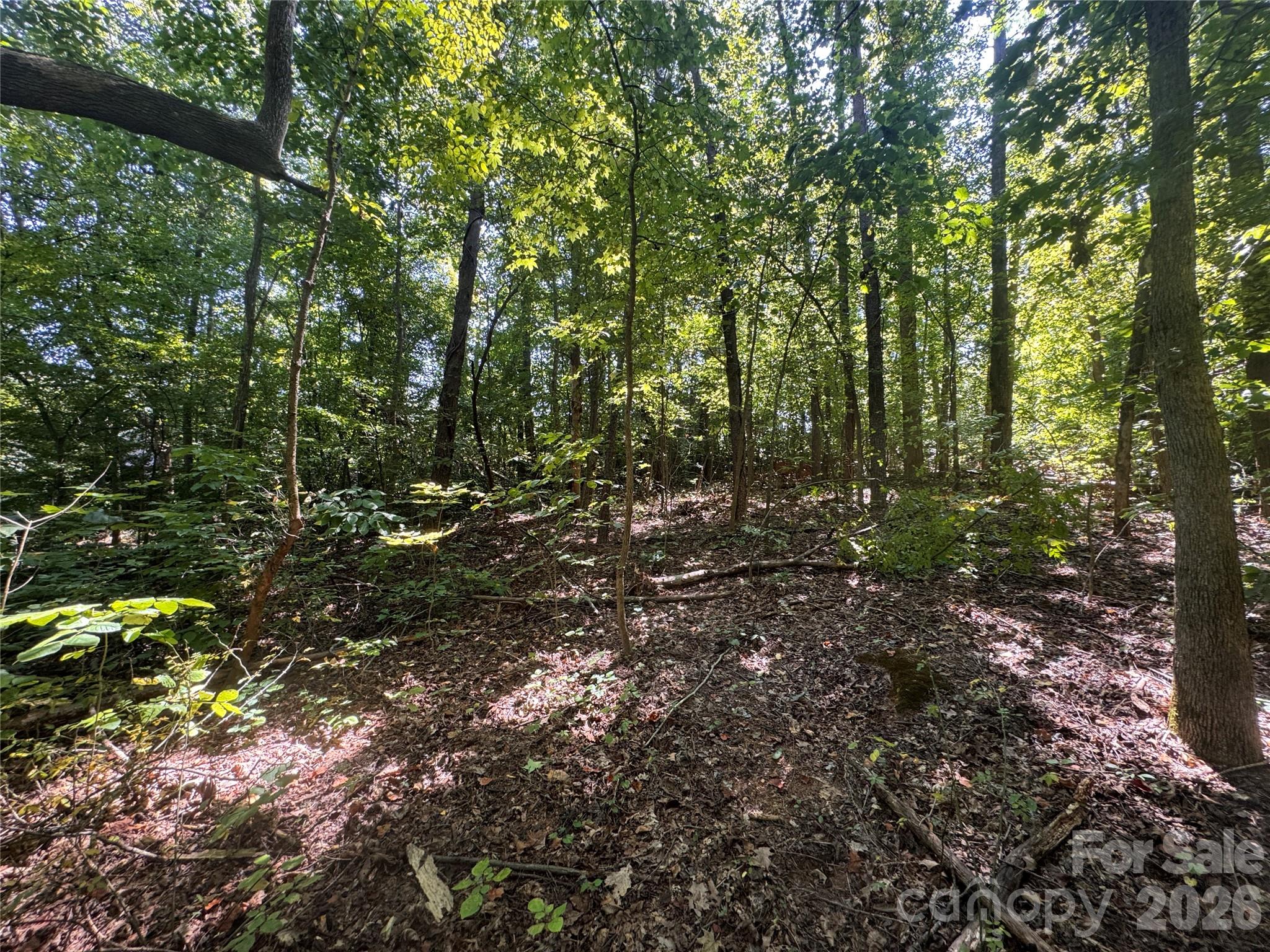 Lot at 3924 Deer Run Drive NE, Conover, photo 19 of 21
