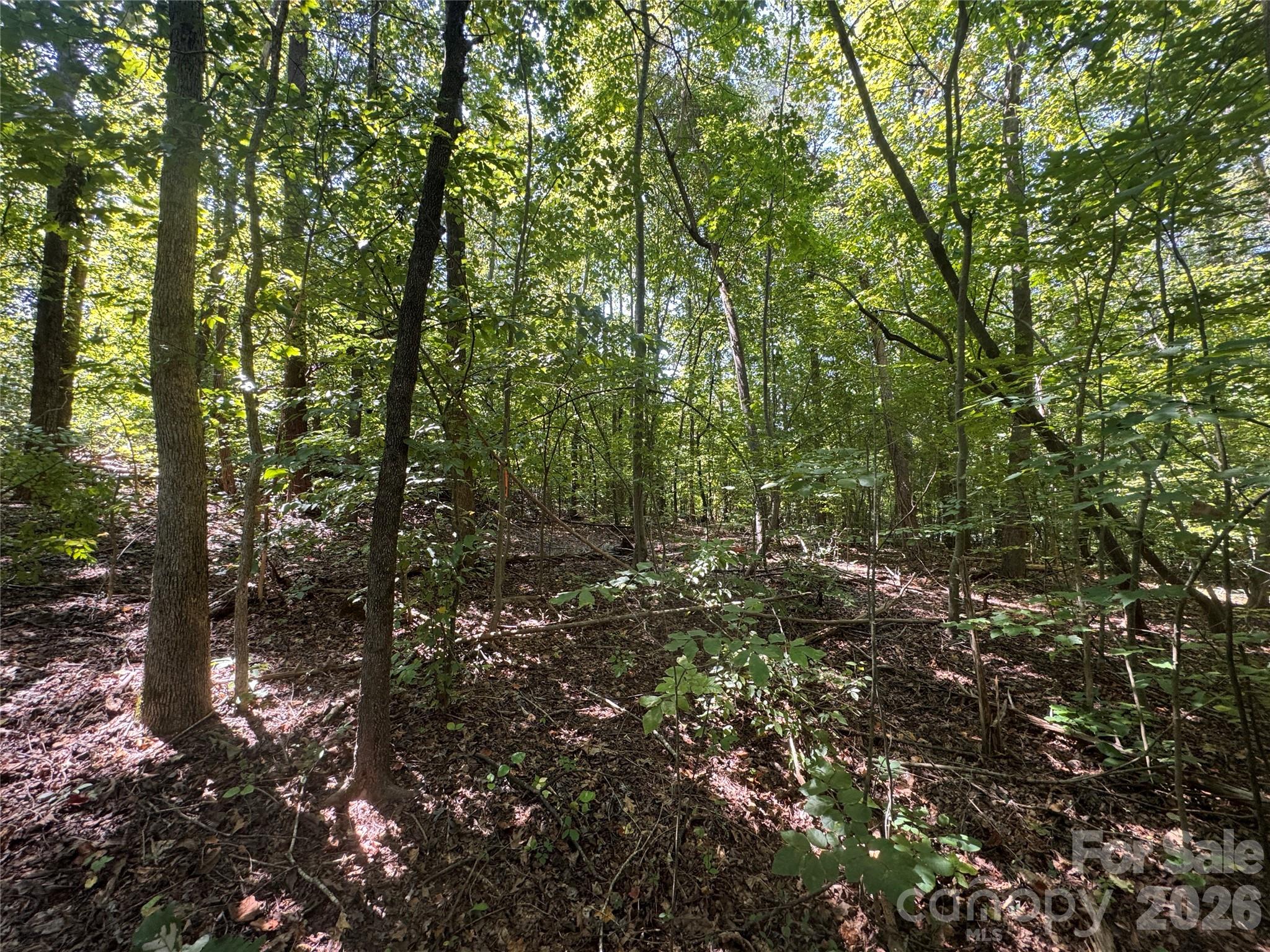 Lot at 3924 Deer Run Drive NE, Conover, photo 20 of 21
