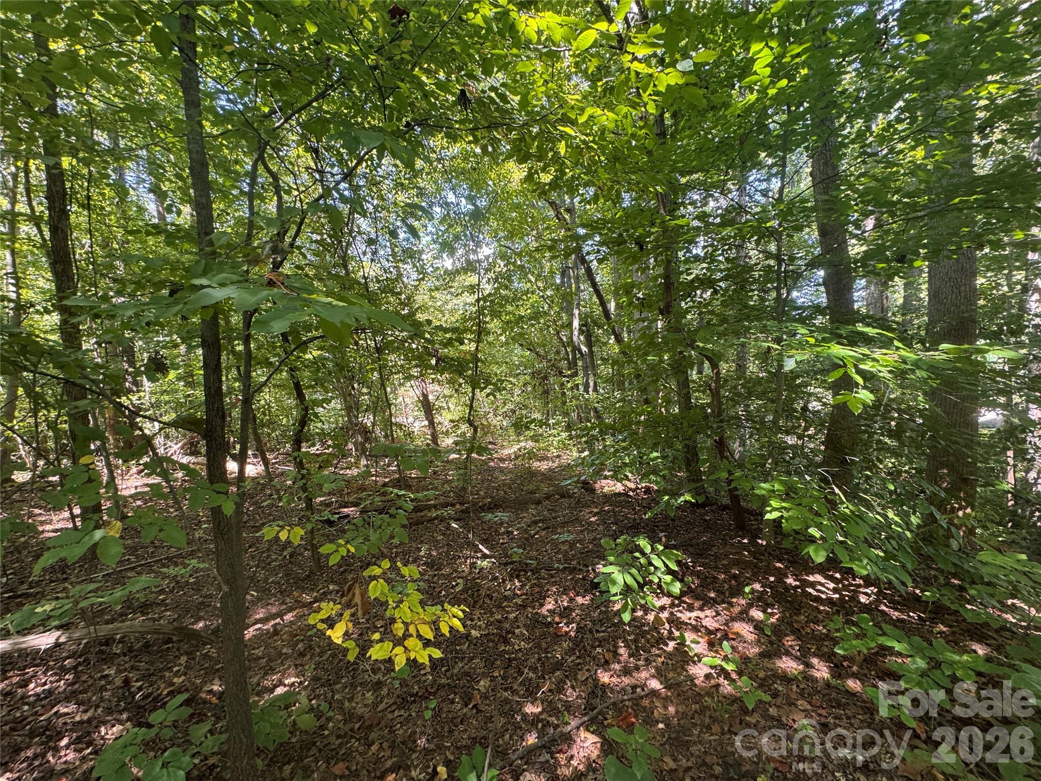 Lot at 3924 Deer Run Drive NE, Conover, photo 21 of 21