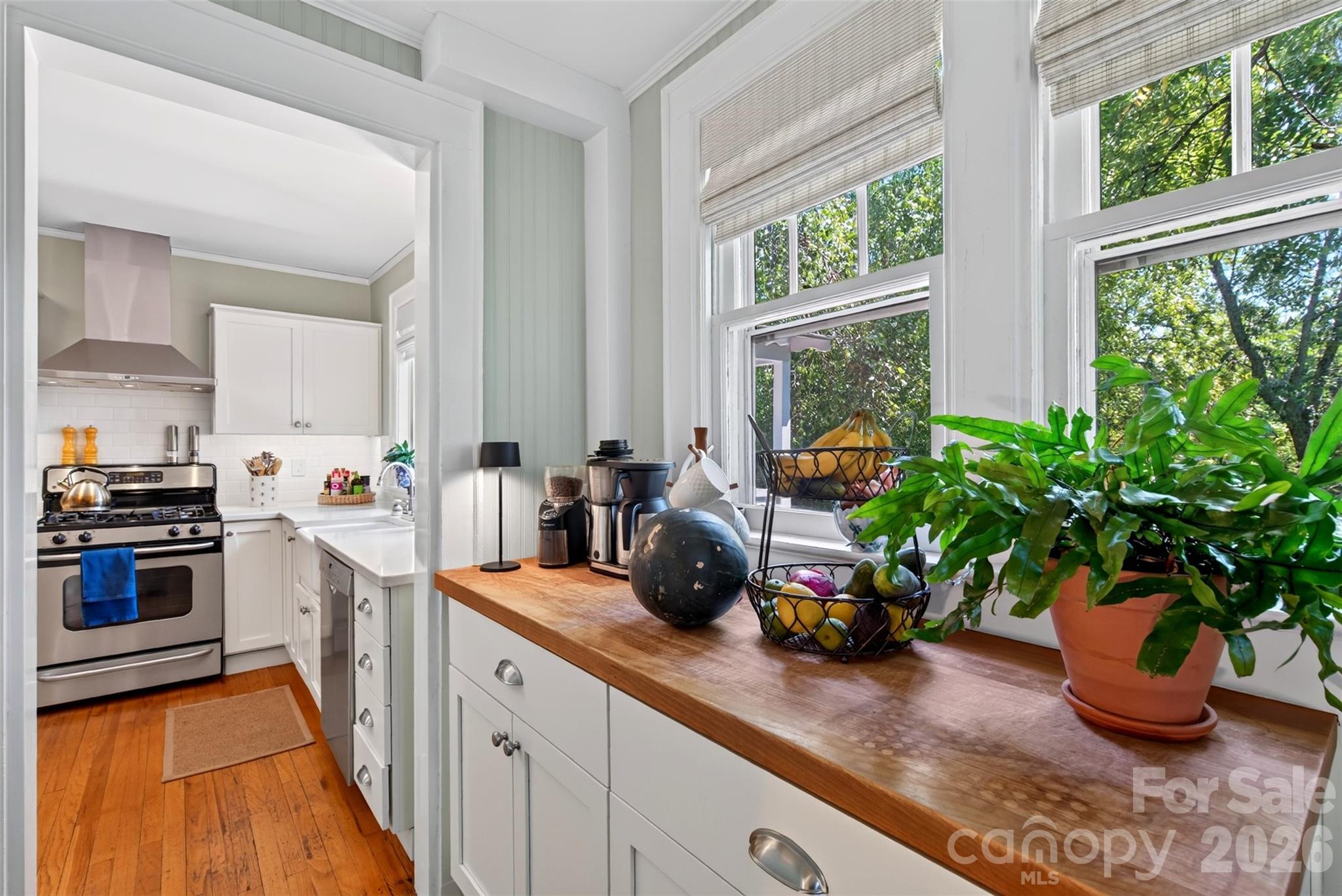Single Family Residence at 36 Mount Vernon Circle, Asheville, photo 13 of 48