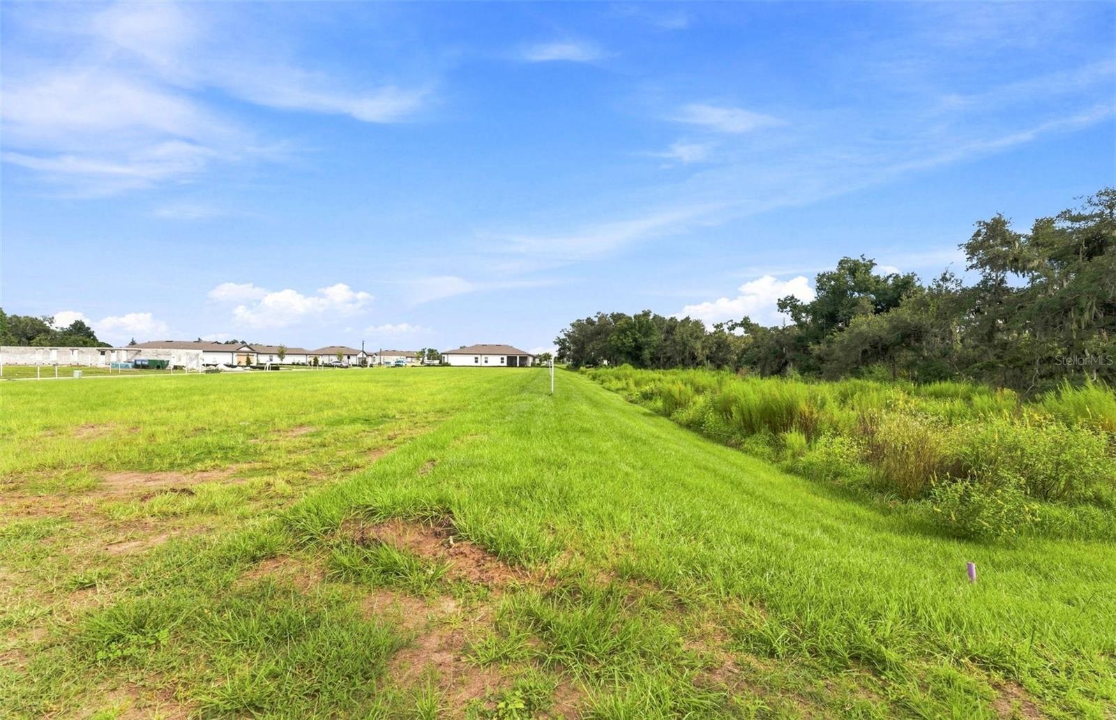 Conservation View Homesite - 14753 SUNLIT CIR, PARRISH