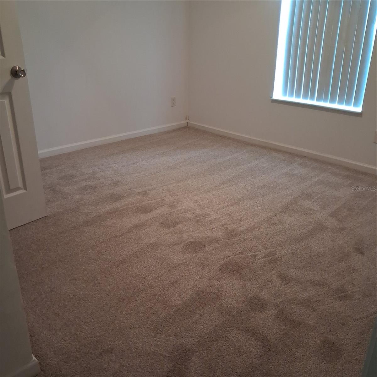 Carpet - 5745 PAWNEE ST, ZEPHYRHILLS