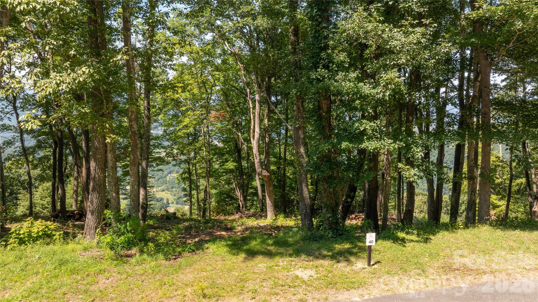 Lot at 19 Estate Drive, Waynesville, photo 17 of 27