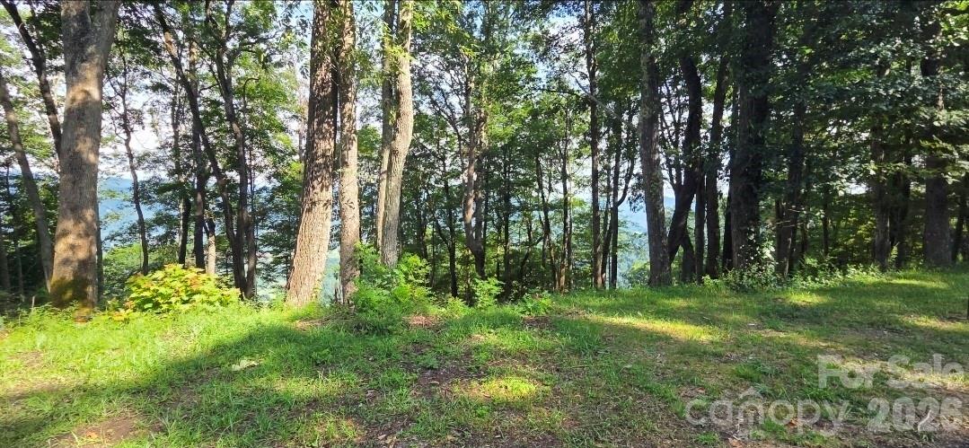 Idyllic level, gently sloping build sites, and THOSE VIEWS!! - 19 Estate Drive, Waynesville