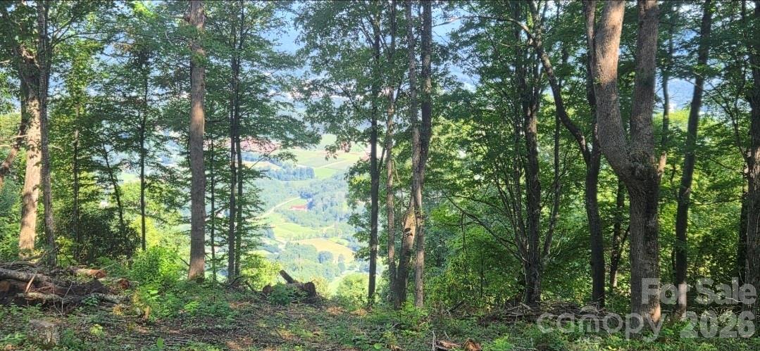 Idyllic level, gently sloping build sites, and THOSE VIEWS!! - 19 Estate Drive, Waynesville