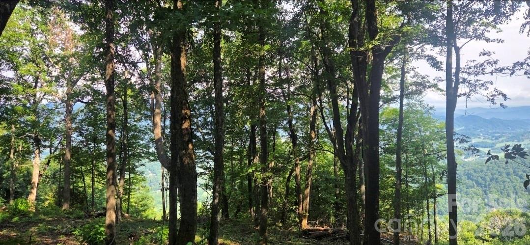 Idyllic level, gently sloping build sites, and THOSE VIEWS!! - 19 Estate Drive, Waynesville