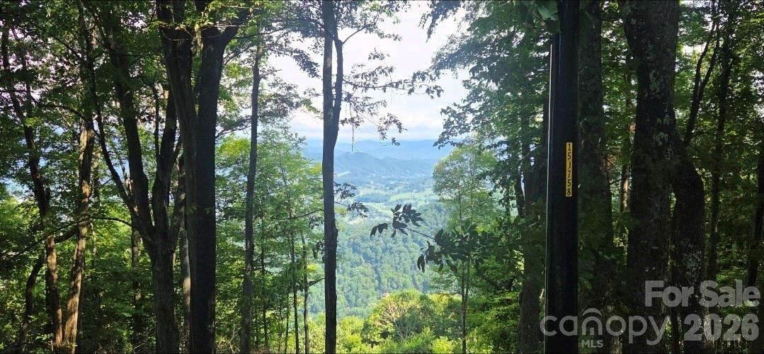 Idyllic level, gently sloping build sites, and THOSE VIEWS!! - 19 Estate Drive, Waynesville