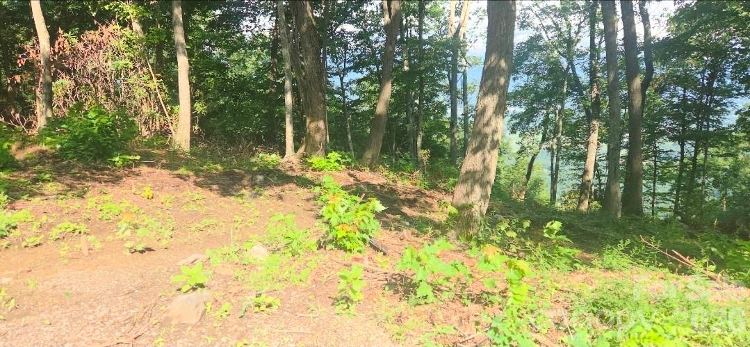 Idyllic level, gently sloping build sites, and THOSE VIEWS!! - 19 Estate Drive, Waynesville