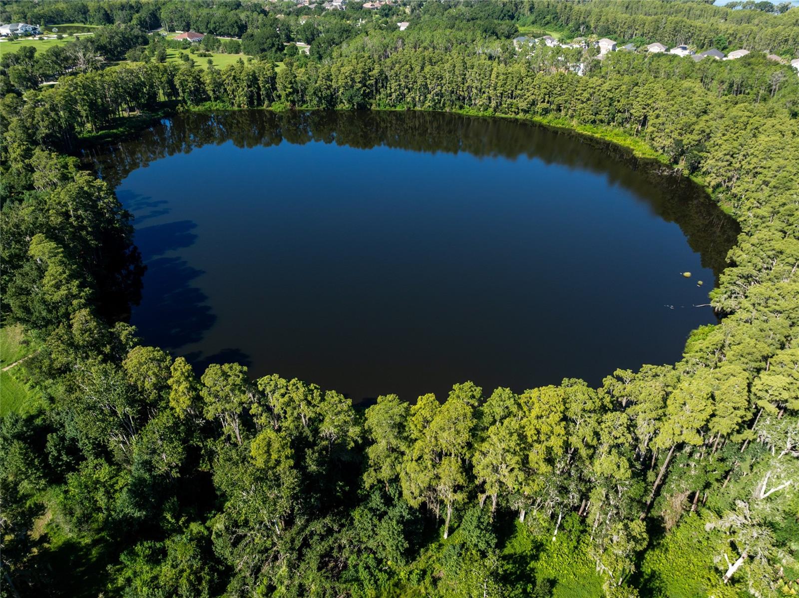 Land at TBD COLLIER PKWY, LAND O LAKES