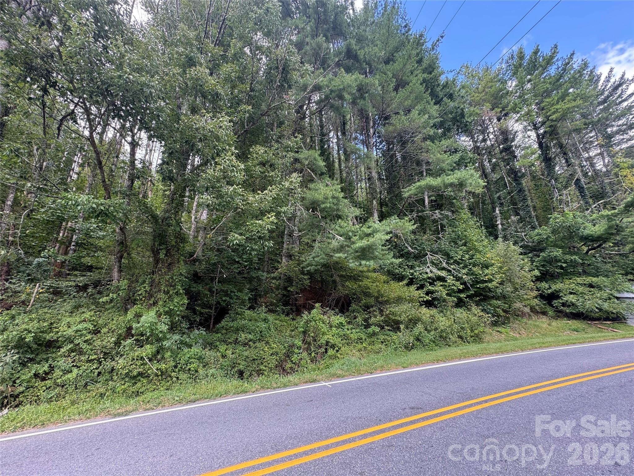 Acreage at 000 Puncheon Fork Road, Mars Hill, photo 10 of 19