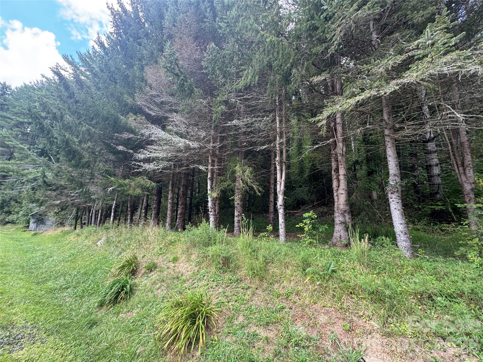 Acreage at 000 Puncheon Fork Road, Mars Hill, photo 11 of 19