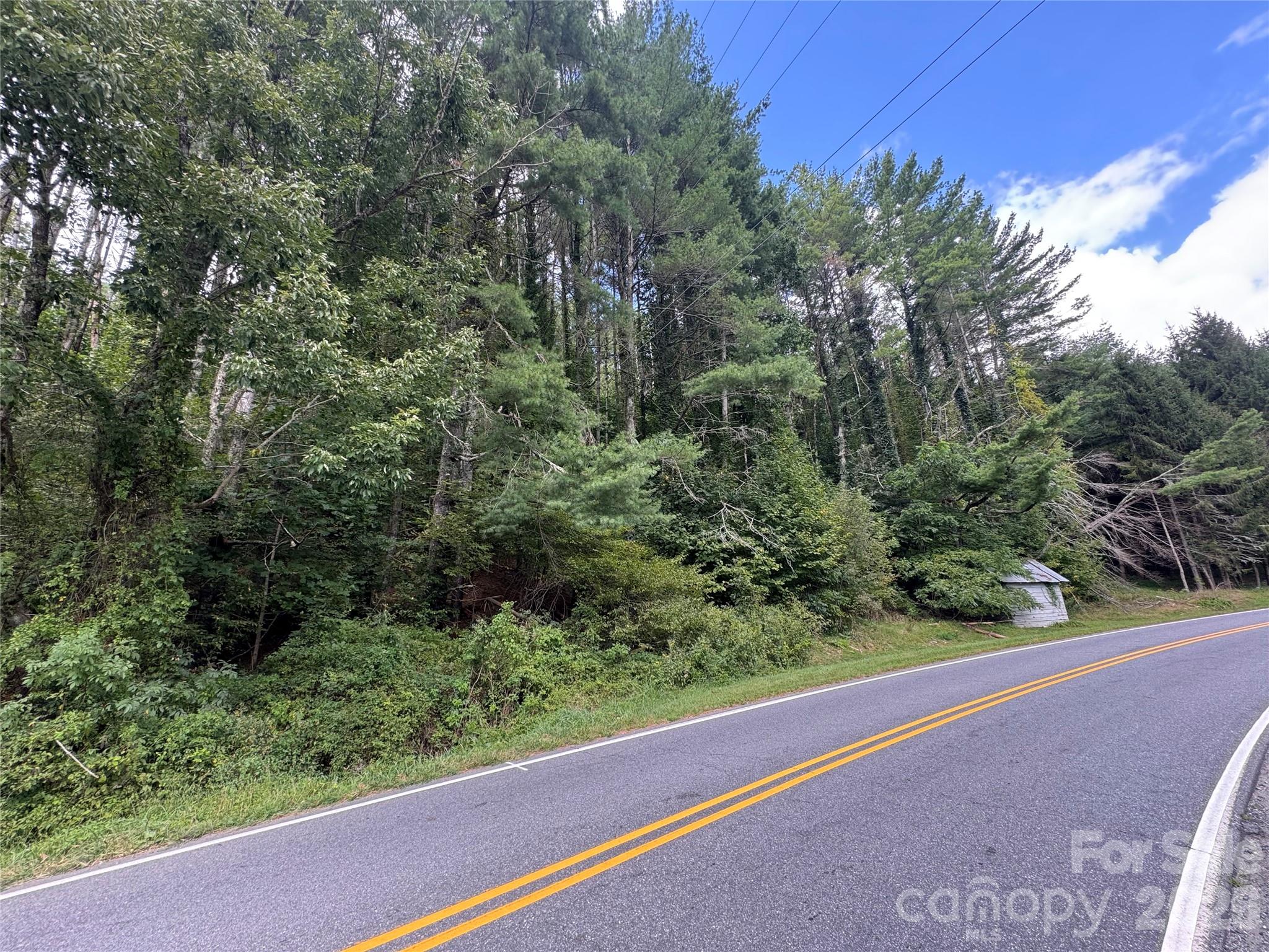 Acreage at 000 Puncheon Fork Road, Mars Hill, photo 12 of 19