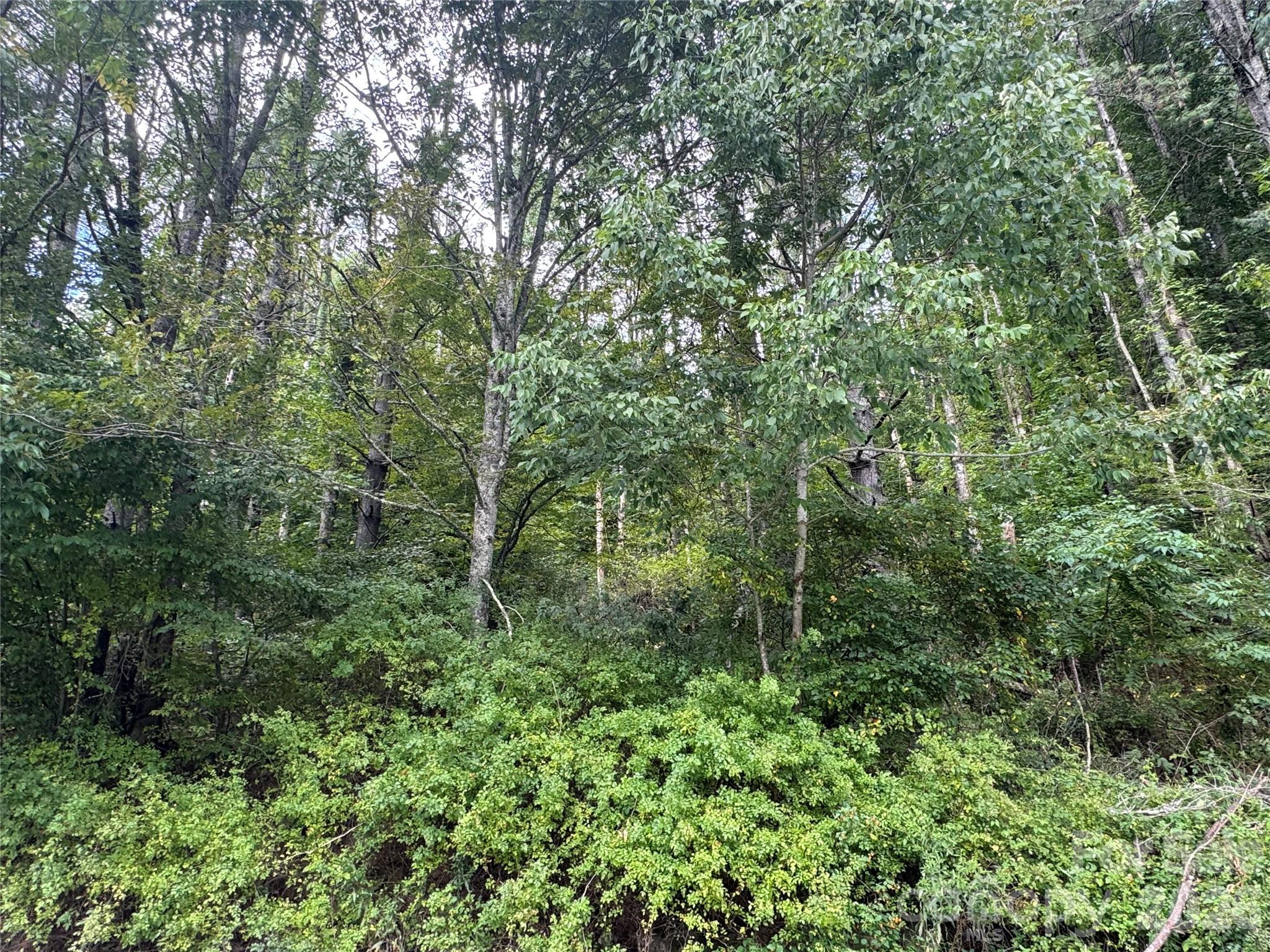 Acreage at 000 Puncheon Fork Road, Mars Hill, photo 13 of 19