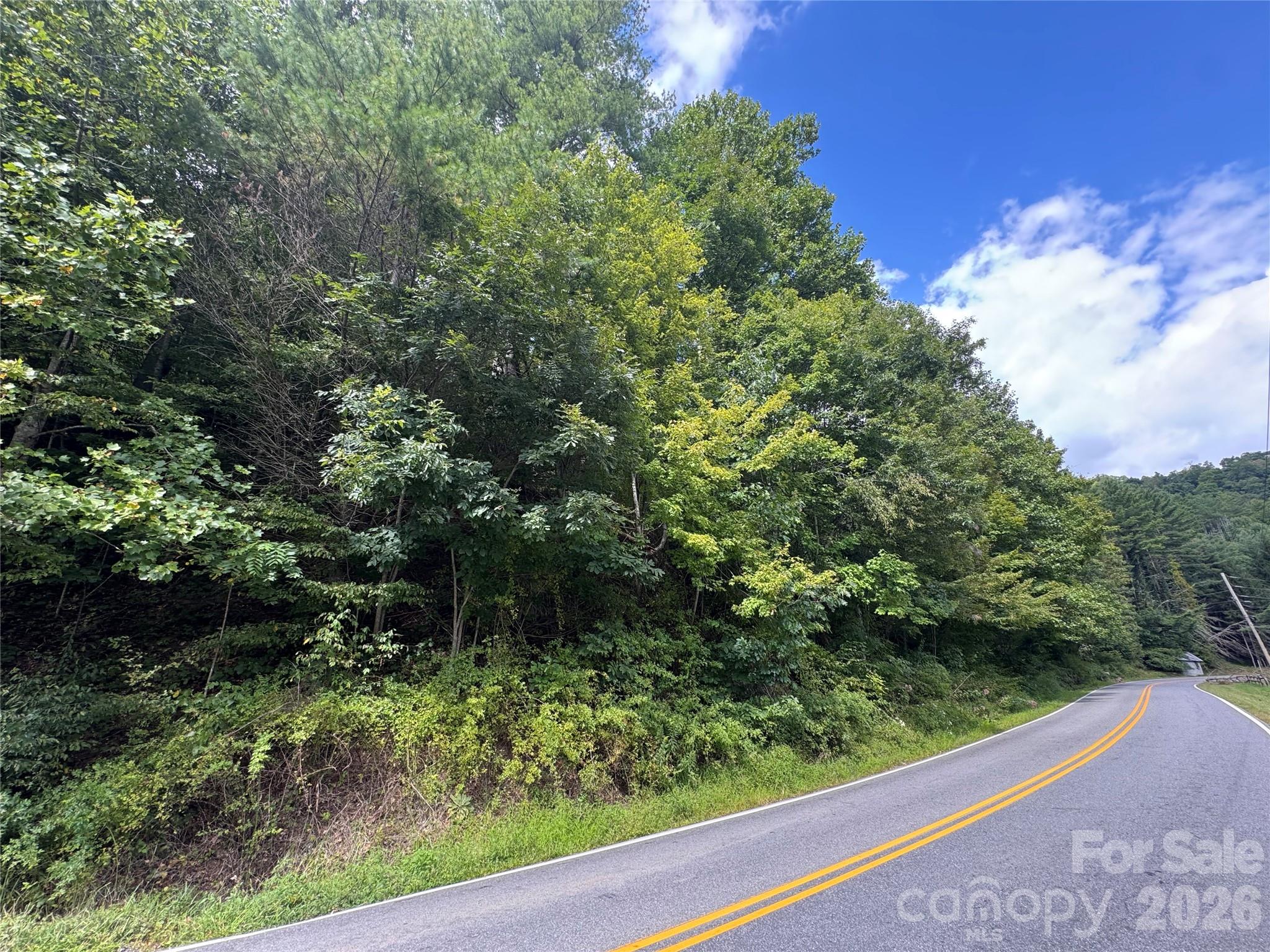 Acreage at 000 Puncheon Fork Road, Mars Hill, photo 17 of 19