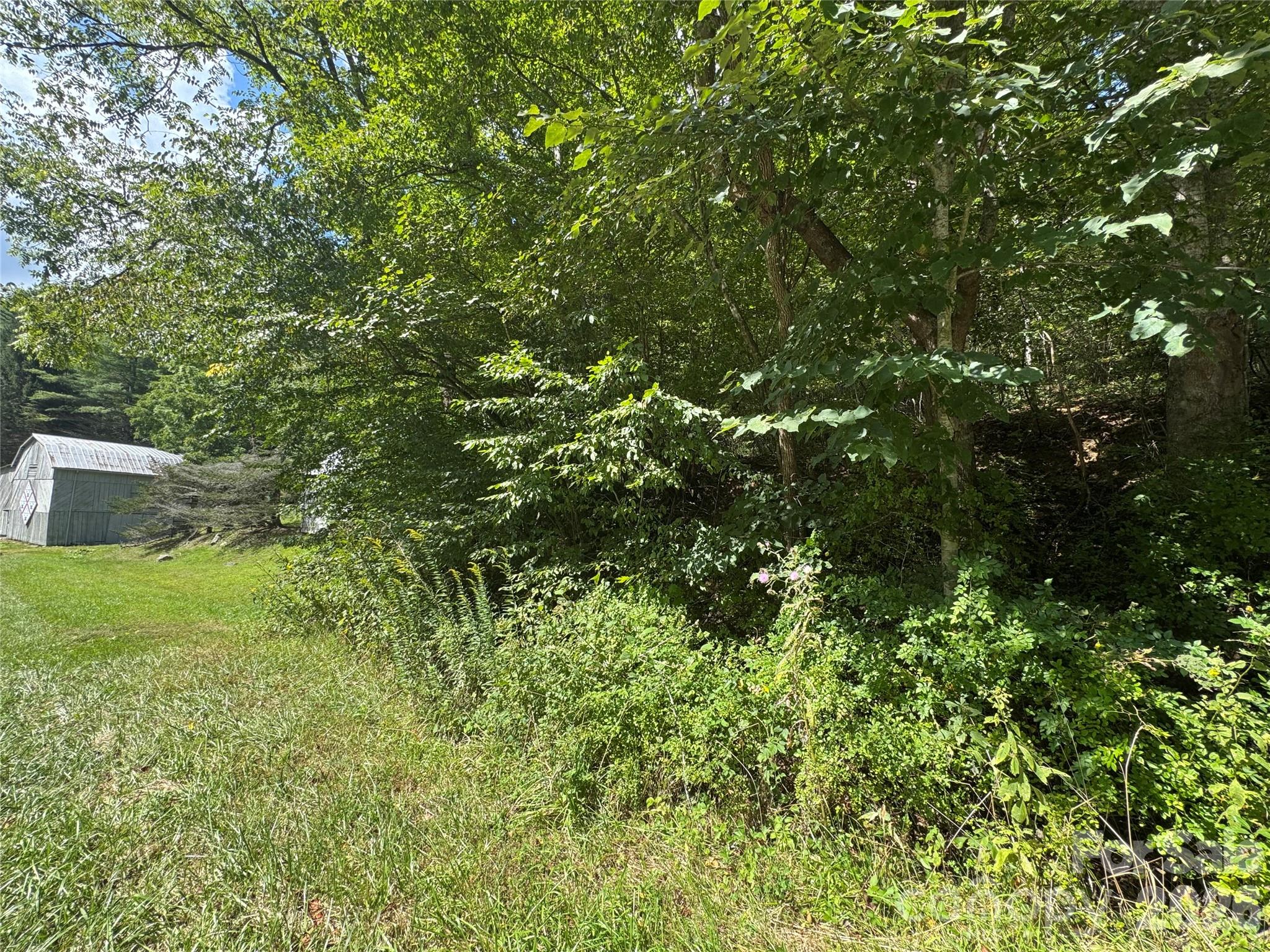Acreage at 000 Puncheon Fork Road, Mars Hill, photo 18 of 19