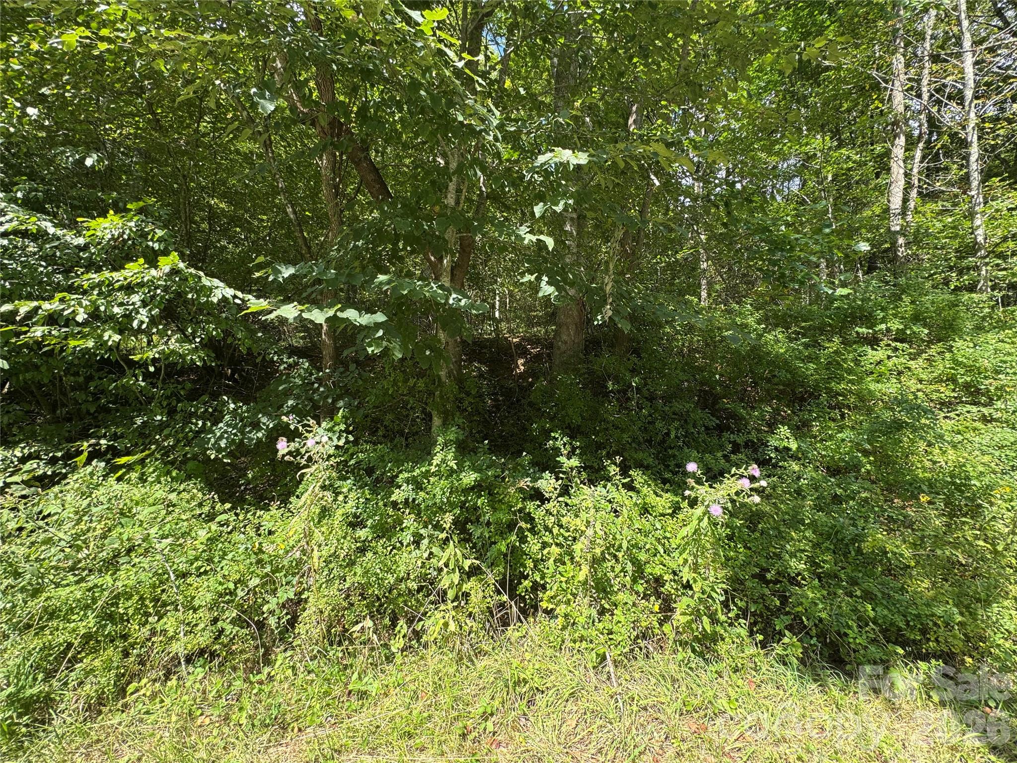 Acreage at 000 Puncheon Fork Road, Mars Hill, photo 19 of 19