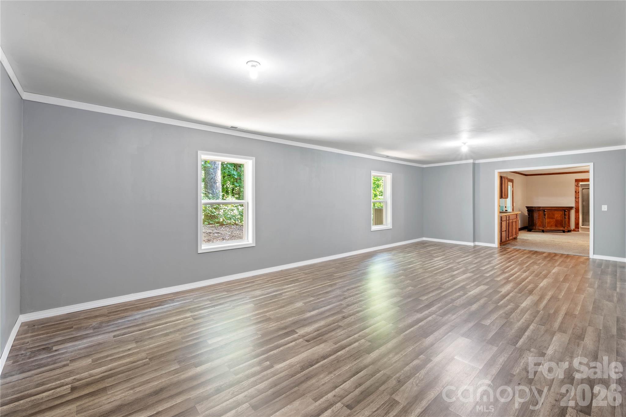 Spacious Lower Level  FLex Space - 72 Summer Shade Court, Hendersonville