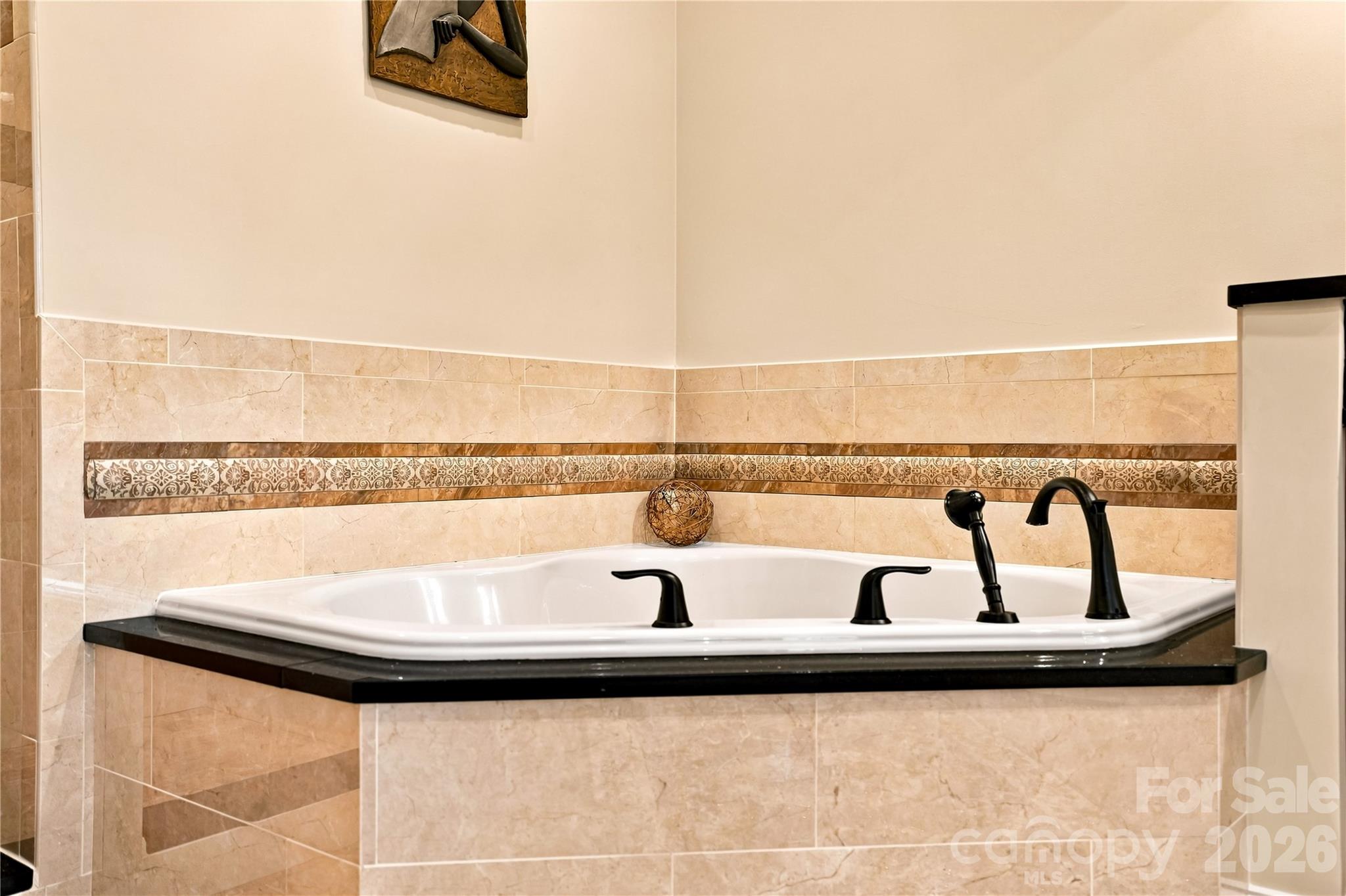 Primary bath jacuzzi tub - 108 Washam Road, Mooresville