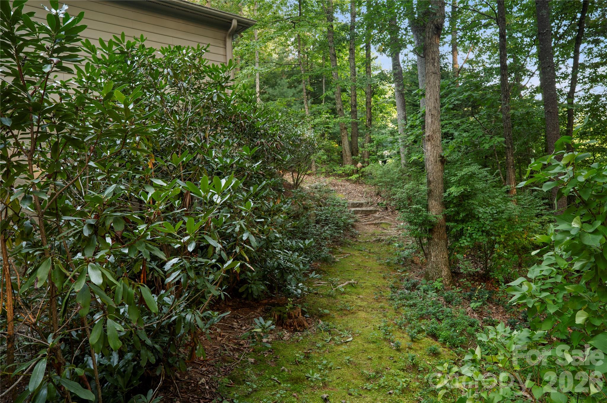 Single Family Residence at 4 Citadel Lane, Hendersonville, photo 47 of 48