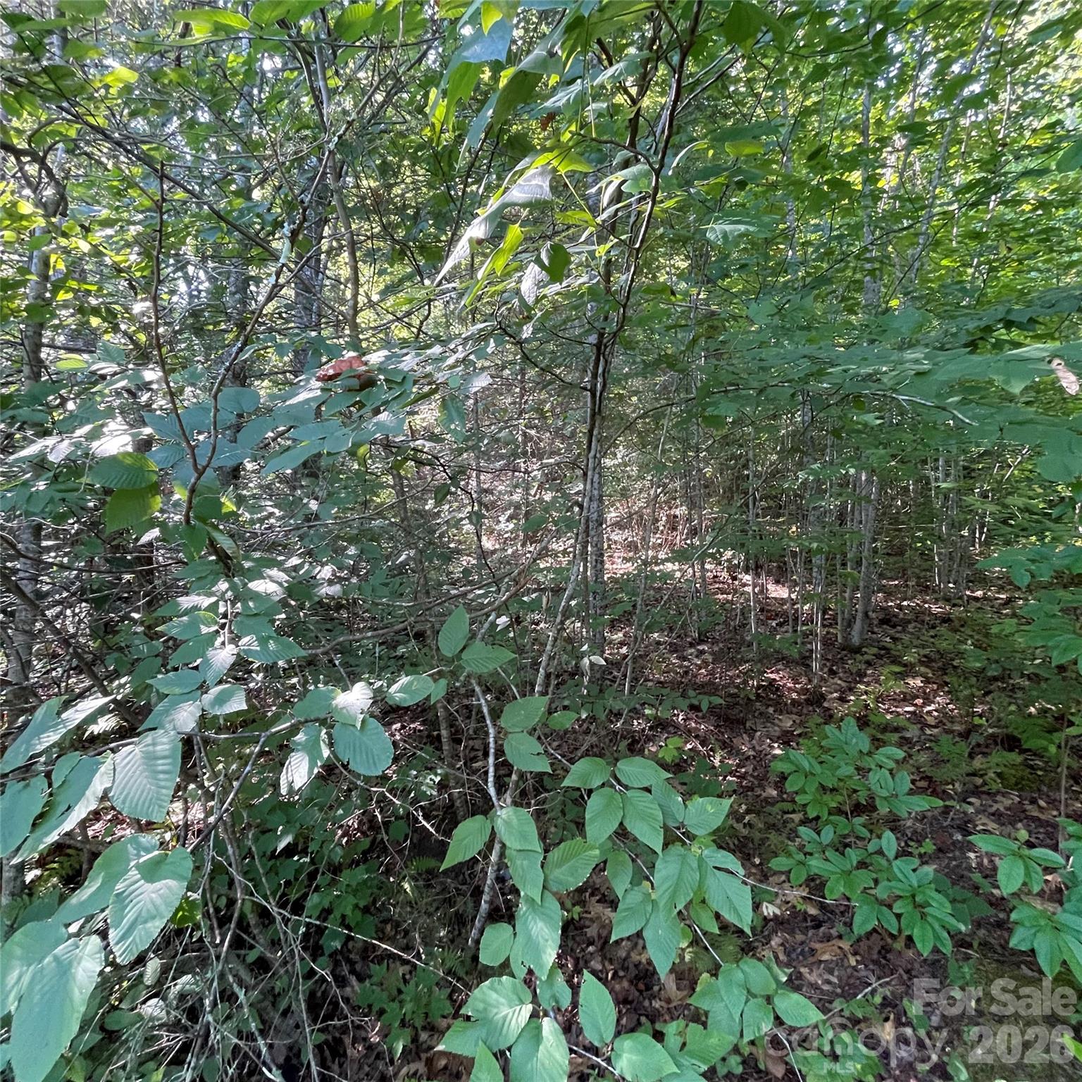 Lot at Cedar Creek 0 Road, Lake Lure, photo 3 of 7