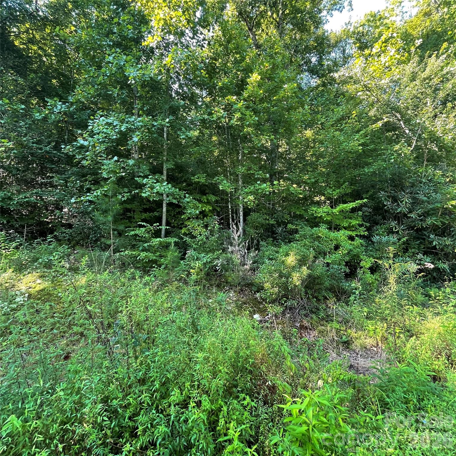 Lot at Cedar Creek 0 Road, Lake Lure, photo 6 of 7