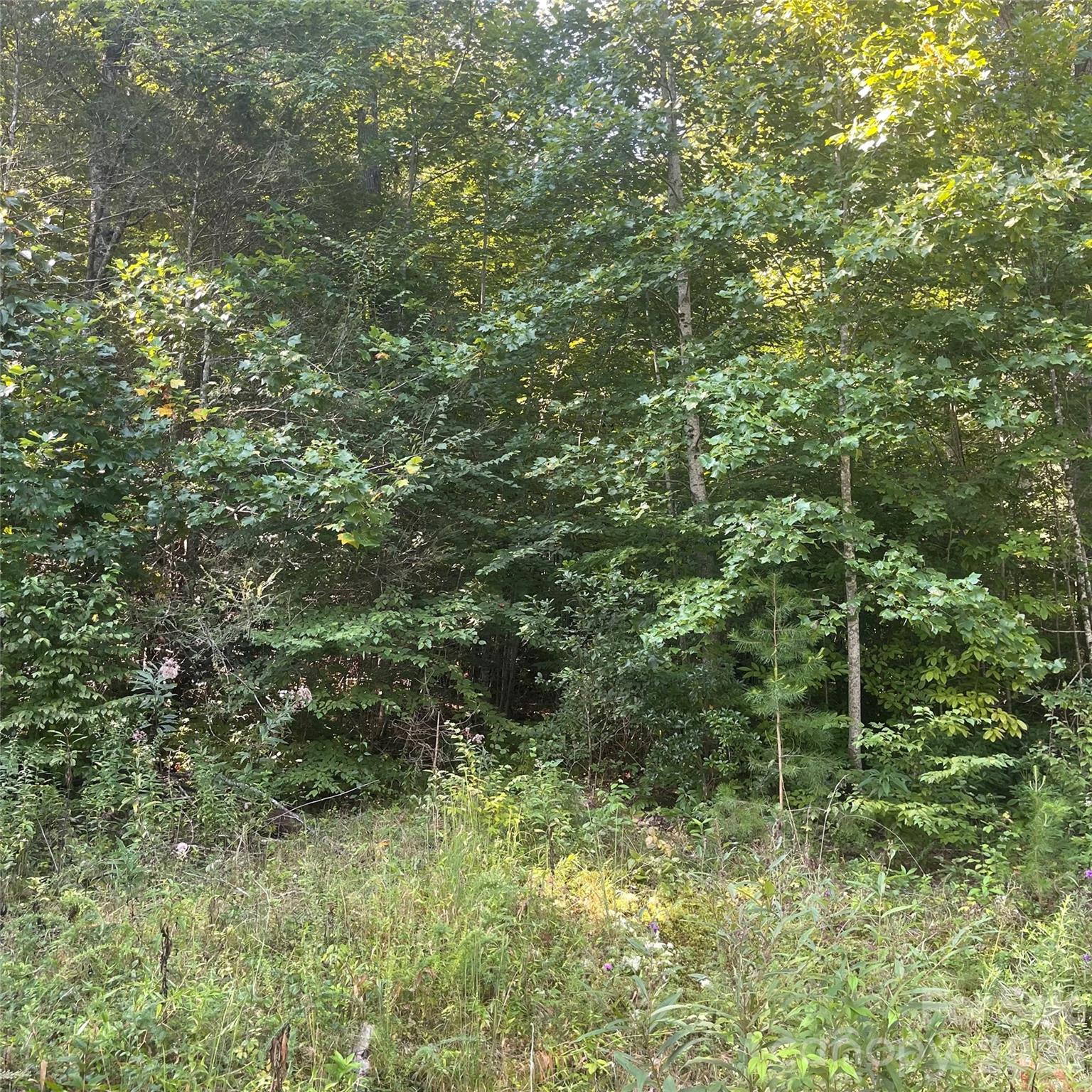 Lot at Cedar Creek 0 Road, Lake Lure, photo 7 of 7