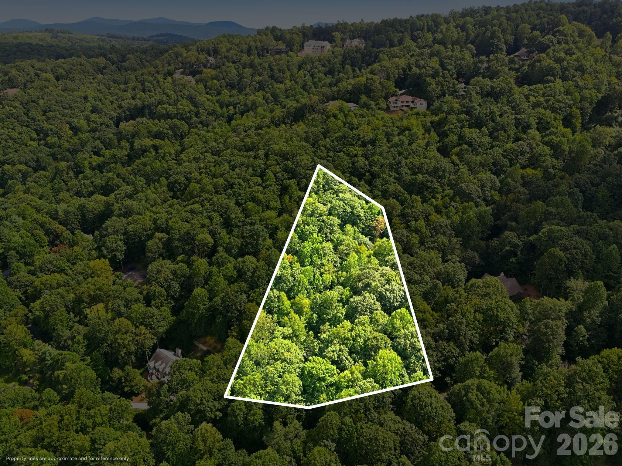 Lot at 315 Kenmure Drive, Flat Rock, photo 3 of 11
