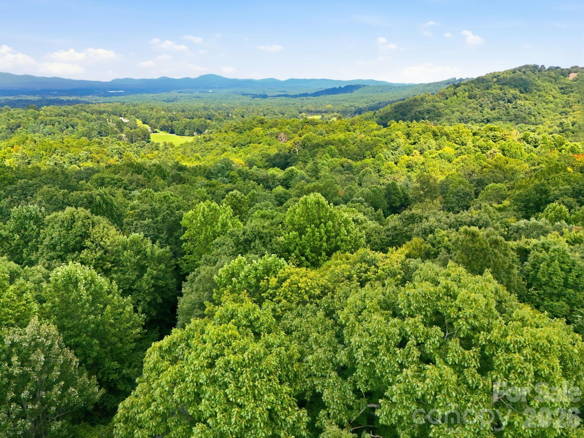 Aerial view from future house pad - 315 Kenmure Drive, Flat Rock