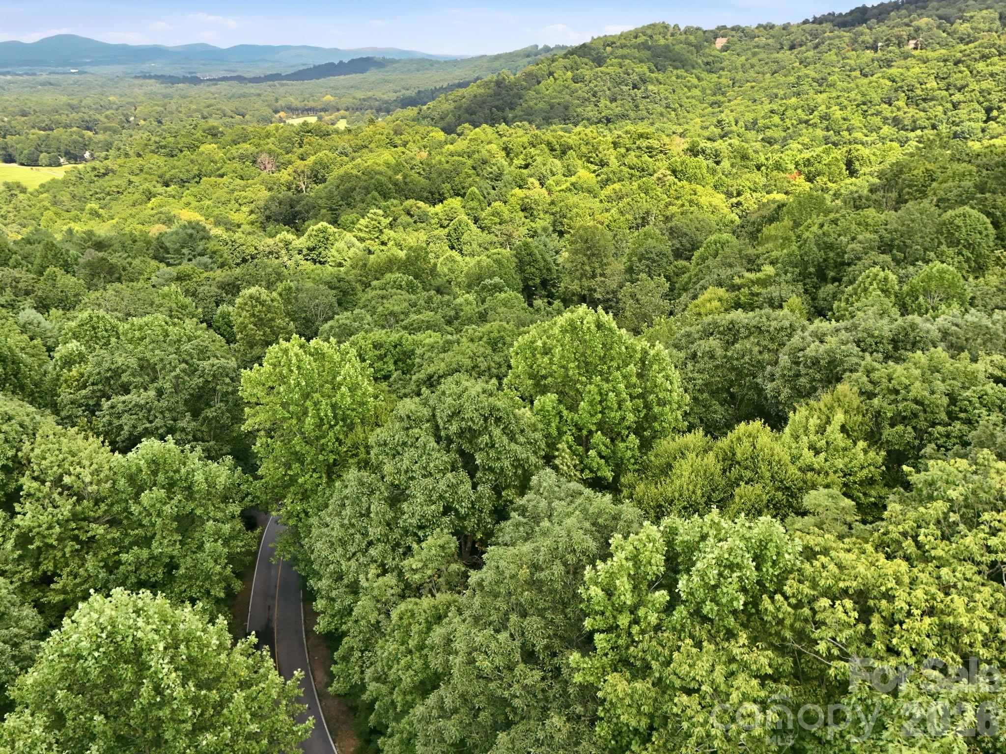 Mt Zirconia - 315 Kenmure Drive, Flat Rock