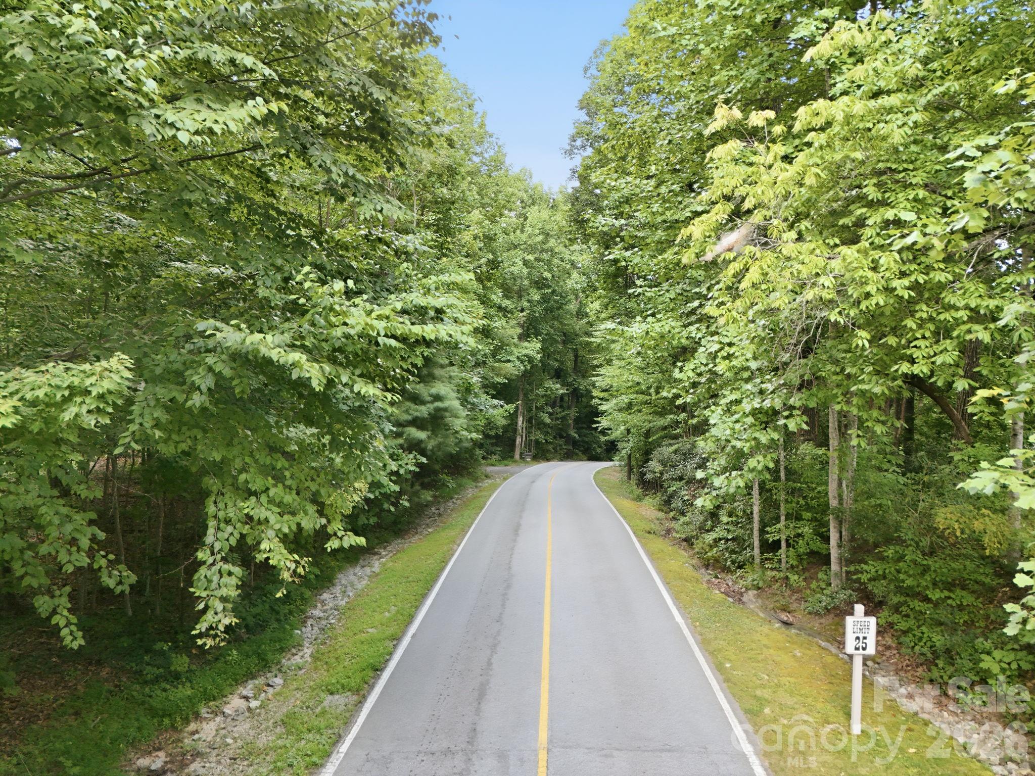 Lot on your Left - 315 Kenmure Drive, Flat Rock