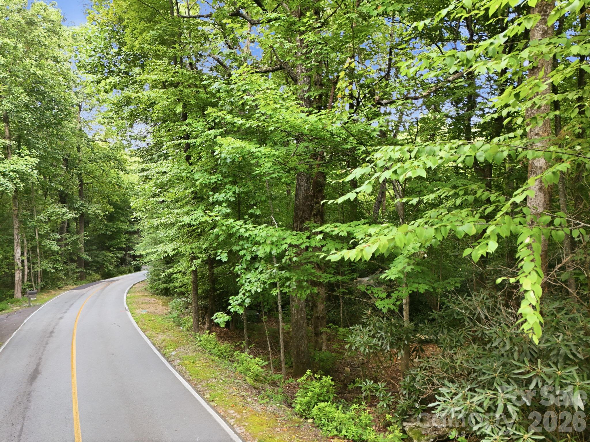 Lot on your Right - 315 Kenmure Drive, Flat Rock